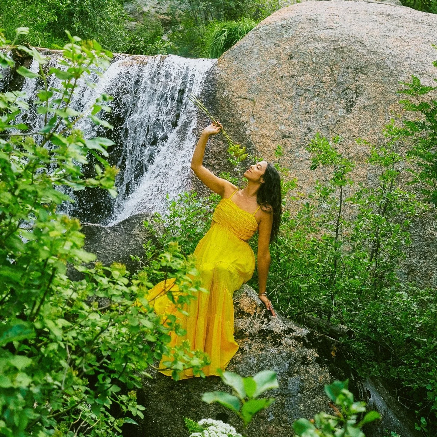 A gift from me to you ✨🙌🏽✨ 

50% off Reiki sessions for the restoration of inner union with God, your soma, and soul 🌞🪽

We are in the season of High Light and solar consciousness. ✨🌞✨ 
May we lean into it, illuminate the glory of God, and go de