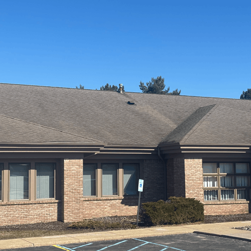 Black Streaks on Roof in Michigan After Winter? Here’s What They Mean