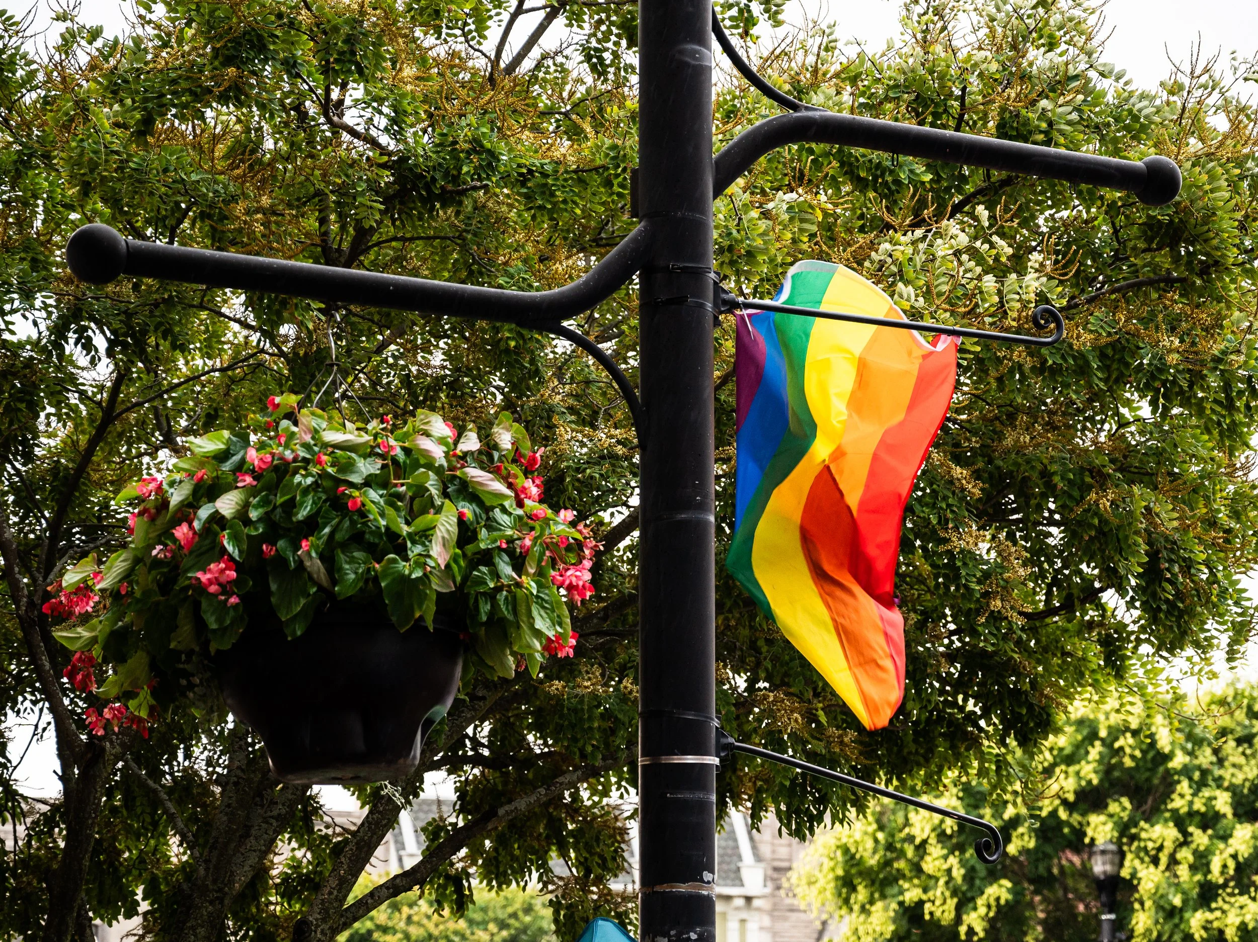 A rainbow Pride flag hanging from a black metal pole next to a potted pink flowering plant, with green trees and a cloudy sky in the background.