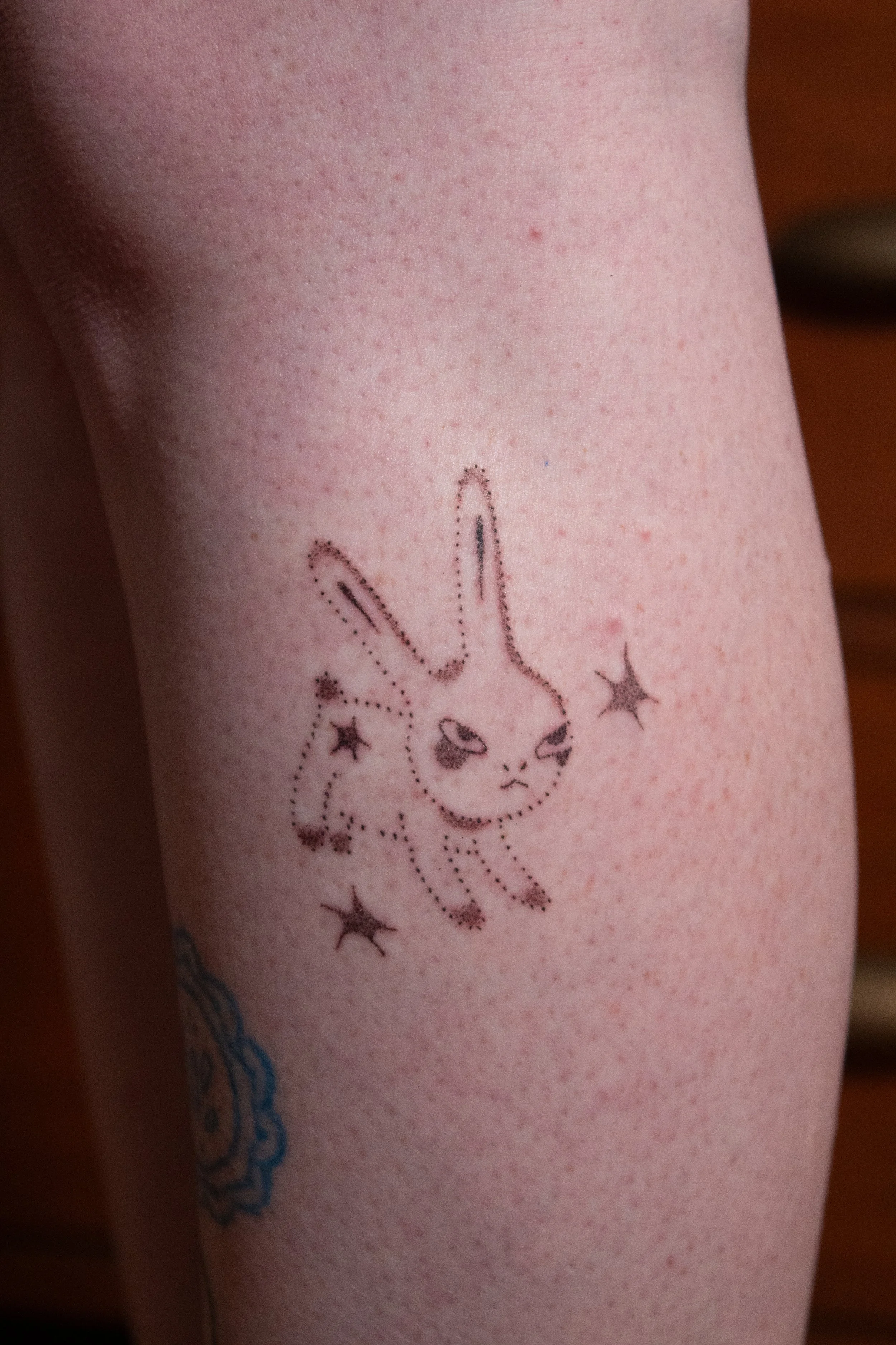 Albert the Grumpy Bunny (2026), 3 inches - Fresh
