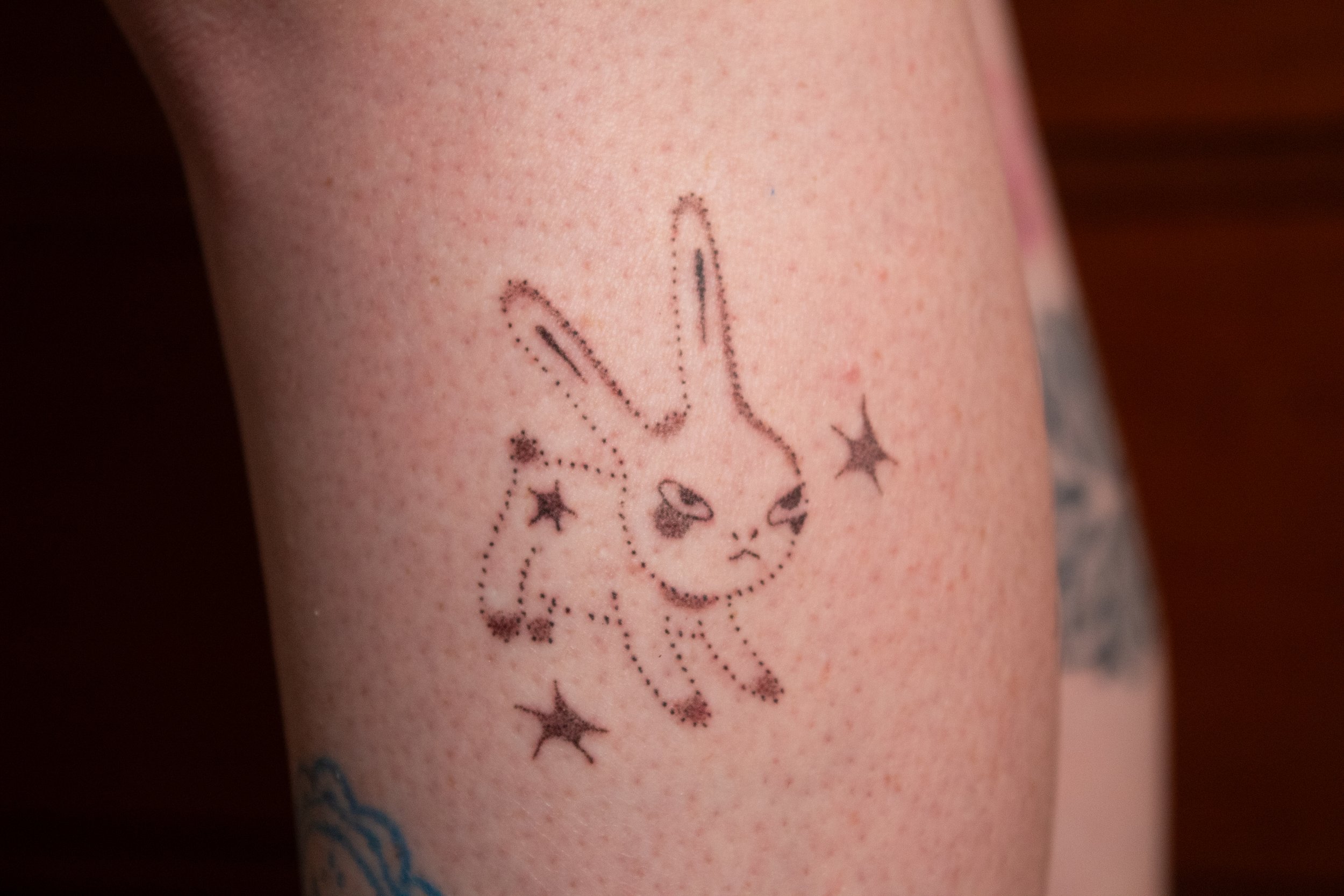 Albert the Grumpy Bunny (2026), 3 inches - Fresh