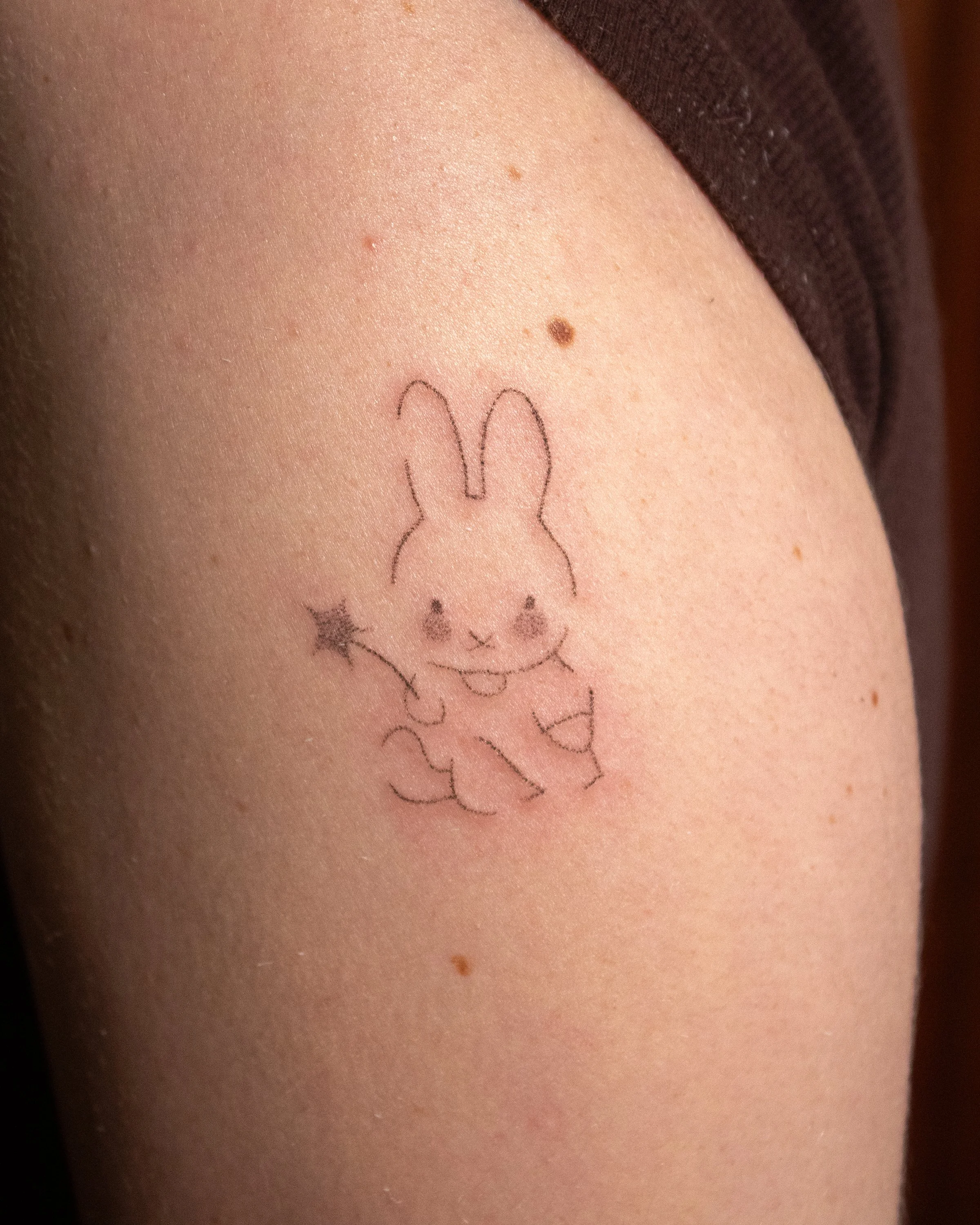 Star Miffy (2026) 2.5 inches - Fresh