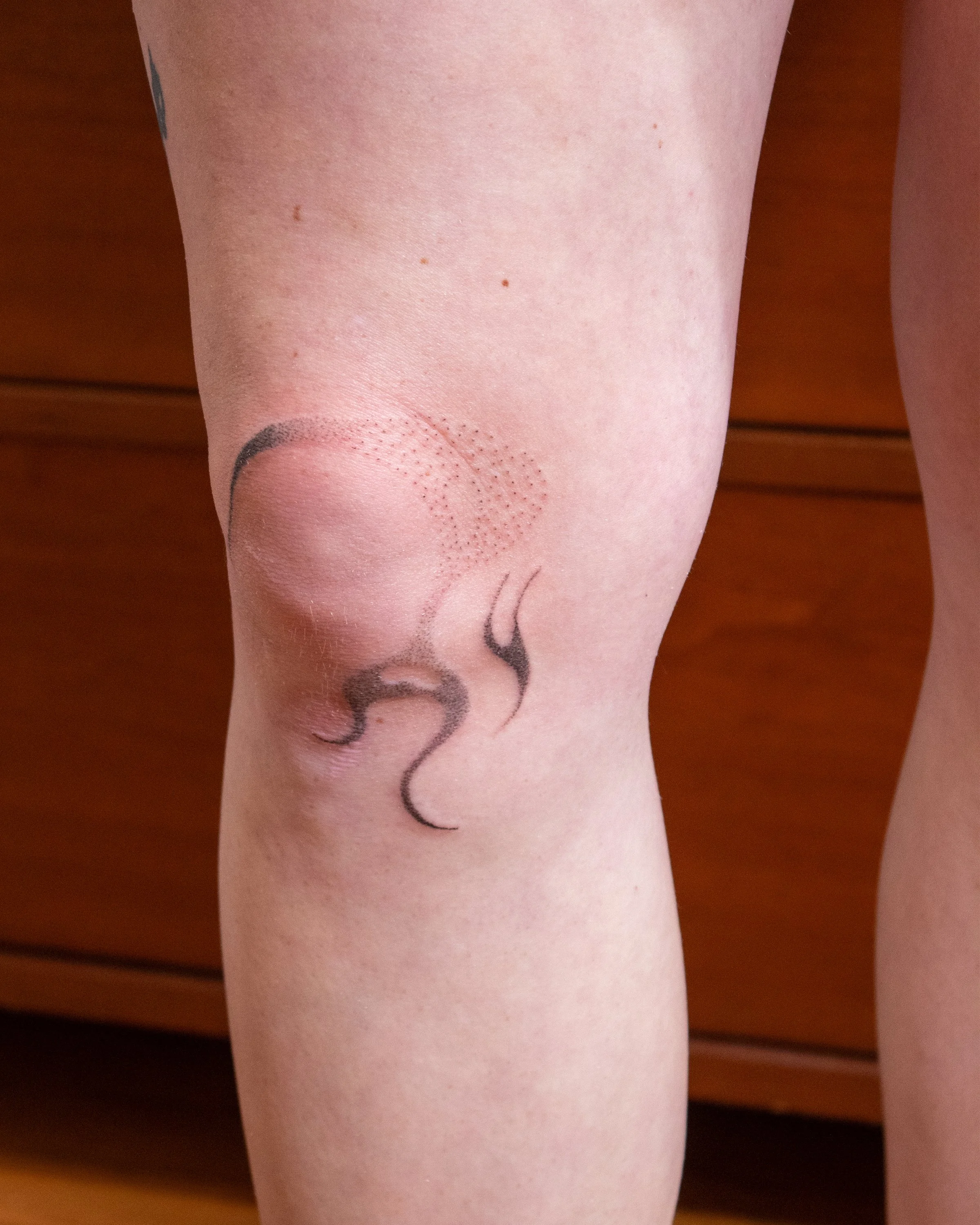 Knee charm (2026) 4.5" - Fresh