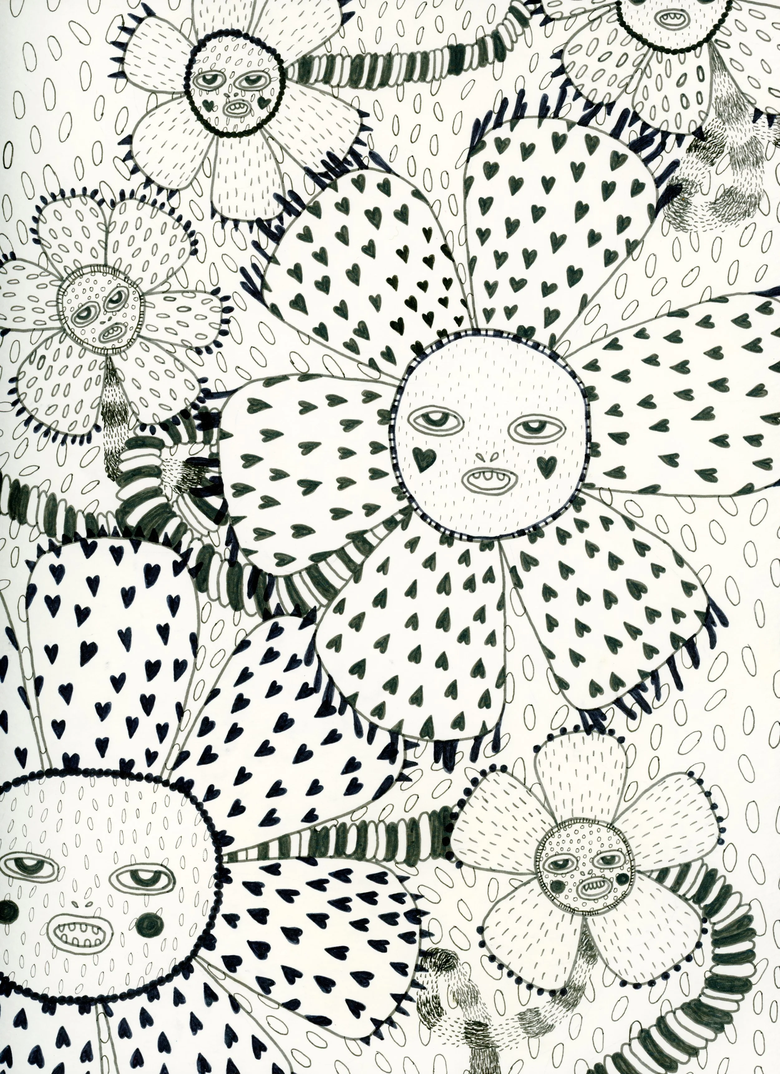 image5 2.jpg