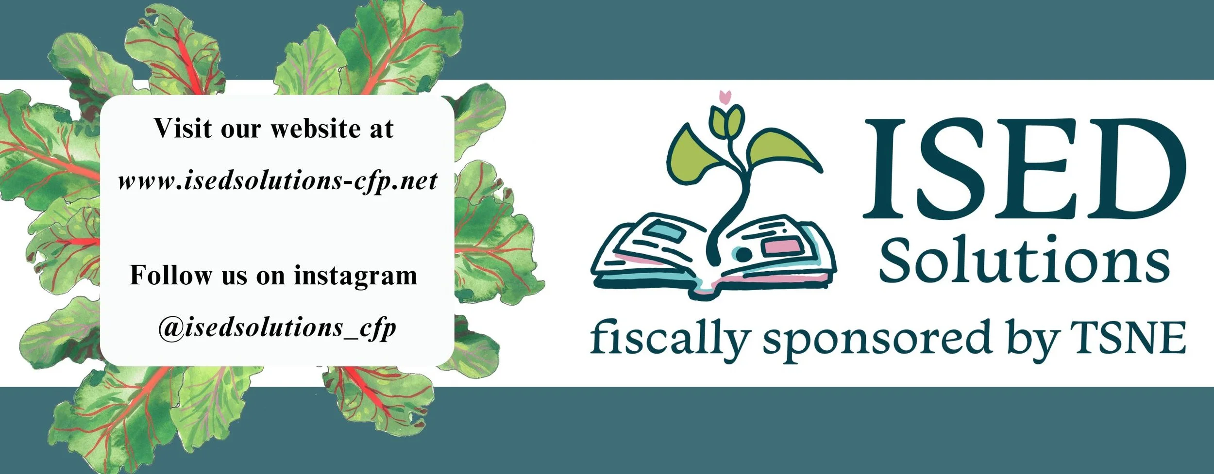 USDA-NIFA Community Food Projects Competitive Grant Program: Informational Overview and Application Next Steps