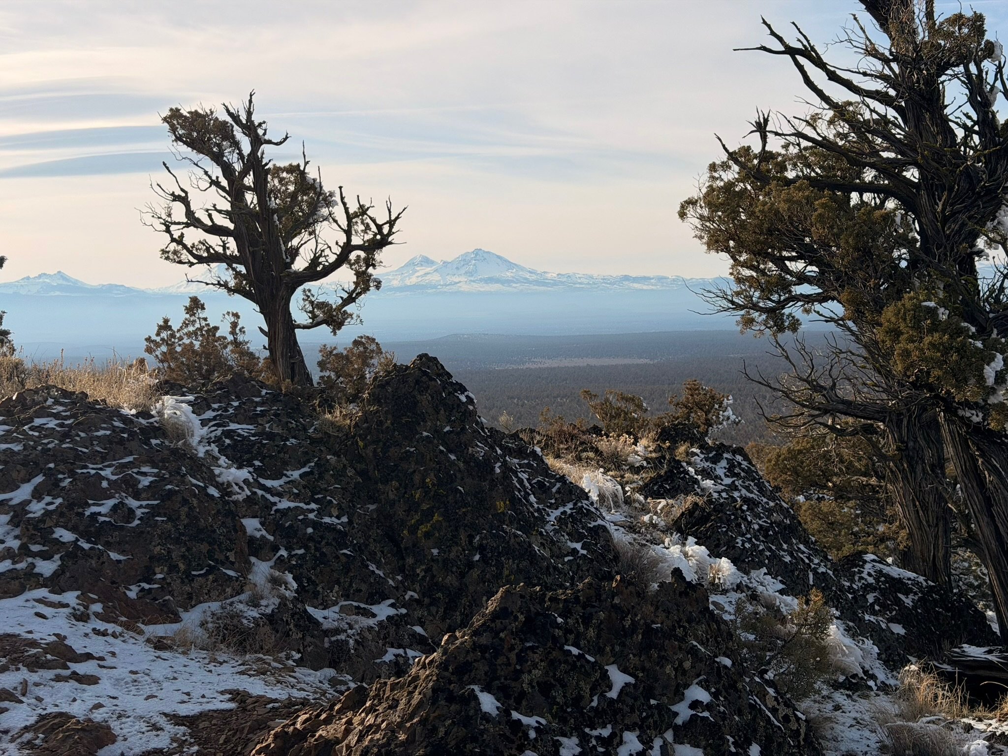 A distant mountain range framed by trees and rocky terrain, reflecting long-term perspective and context when considering heart health after menopause.