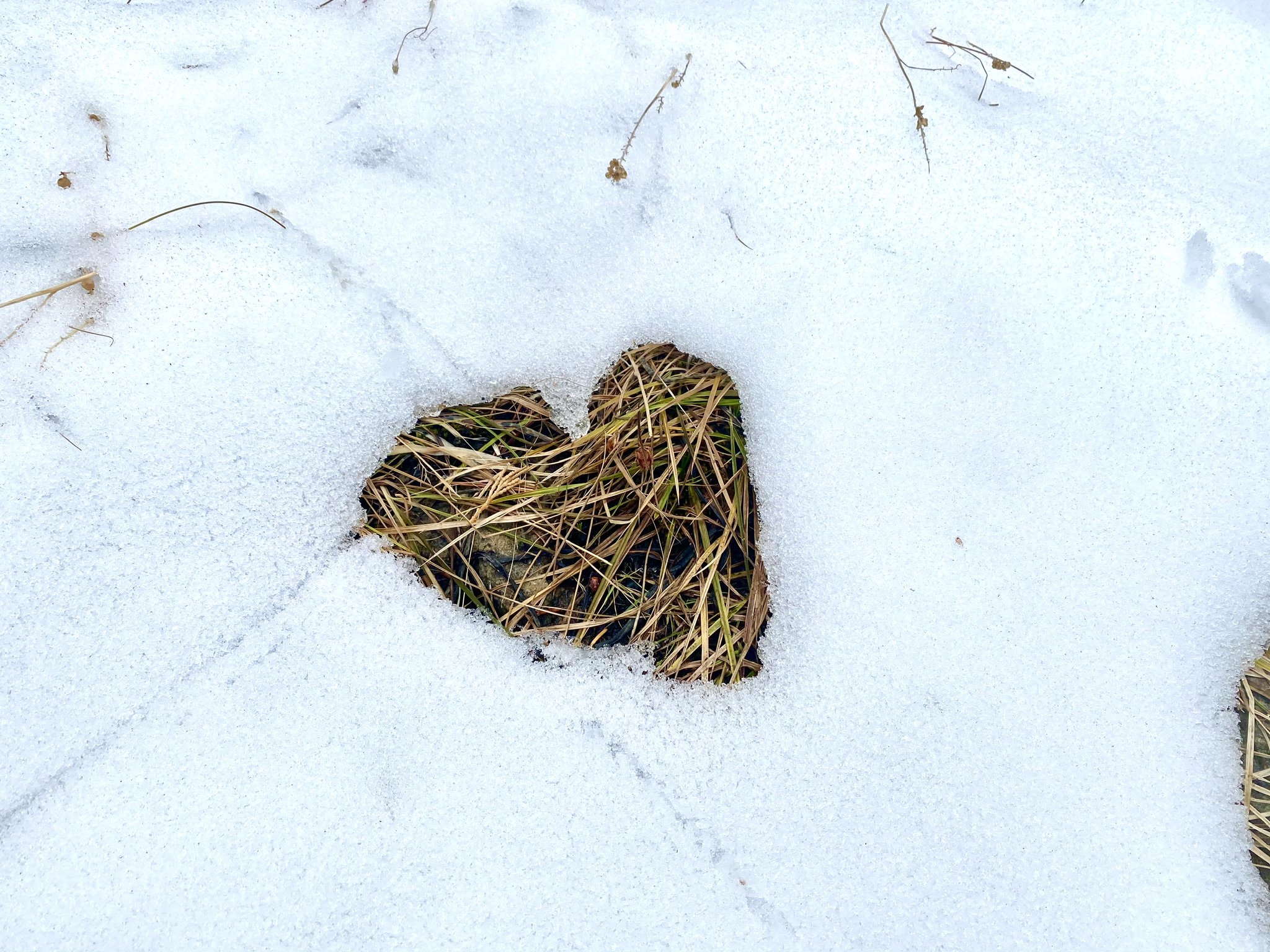 Self-Care Is Self-Love: How Compassion Protects Your Heart After Menopause