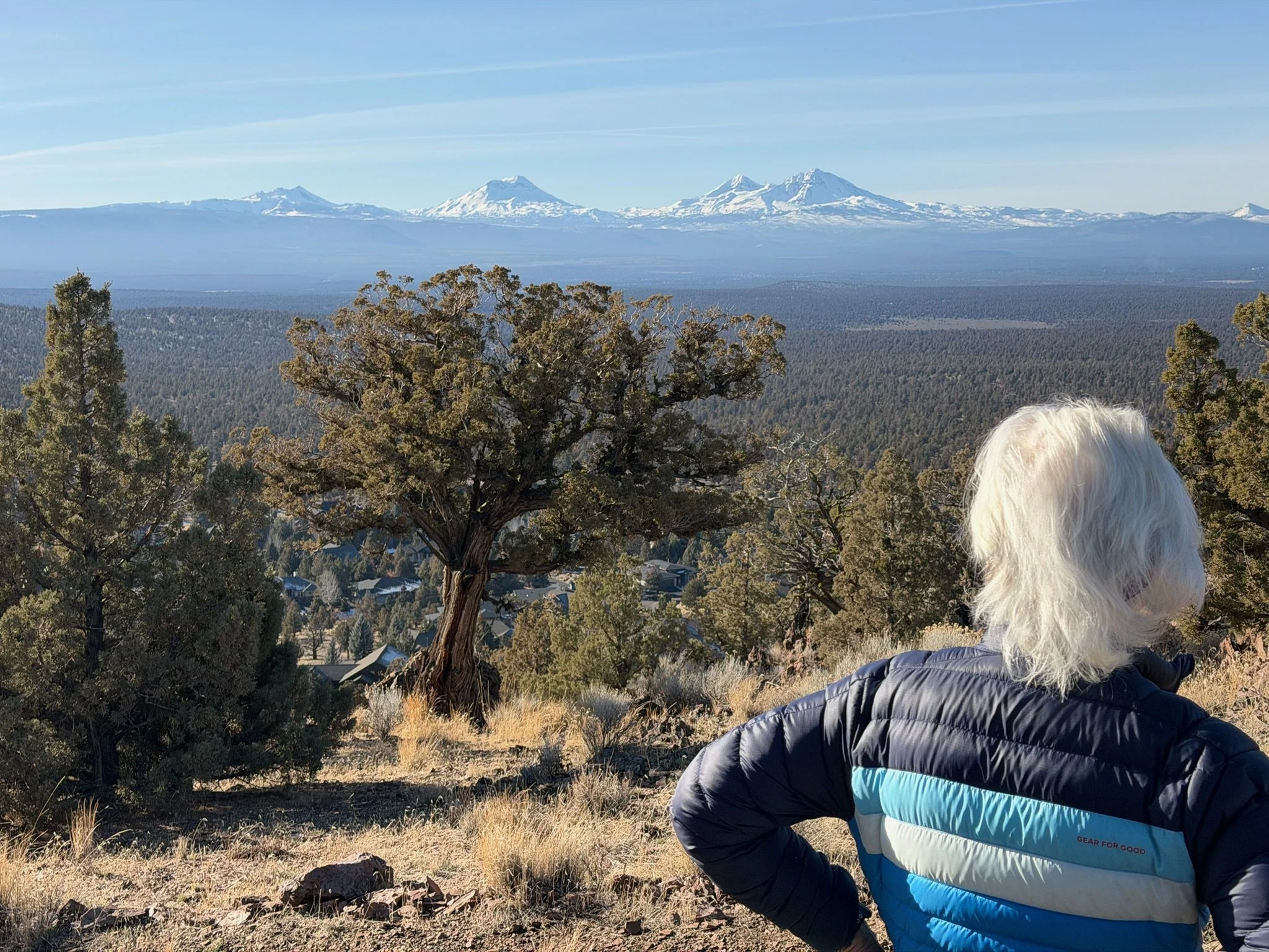 A woman standing on a hillside, looking out toward distant snow-covered mountains and a forested landscape.