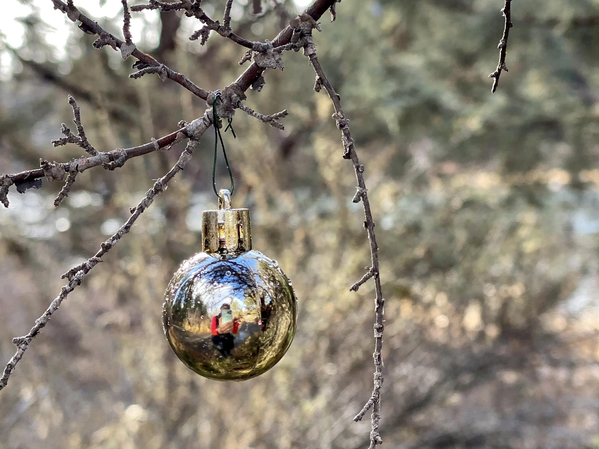 The Gift You Didn’t Get This Holiday Season… But You Can Give Yourself Now