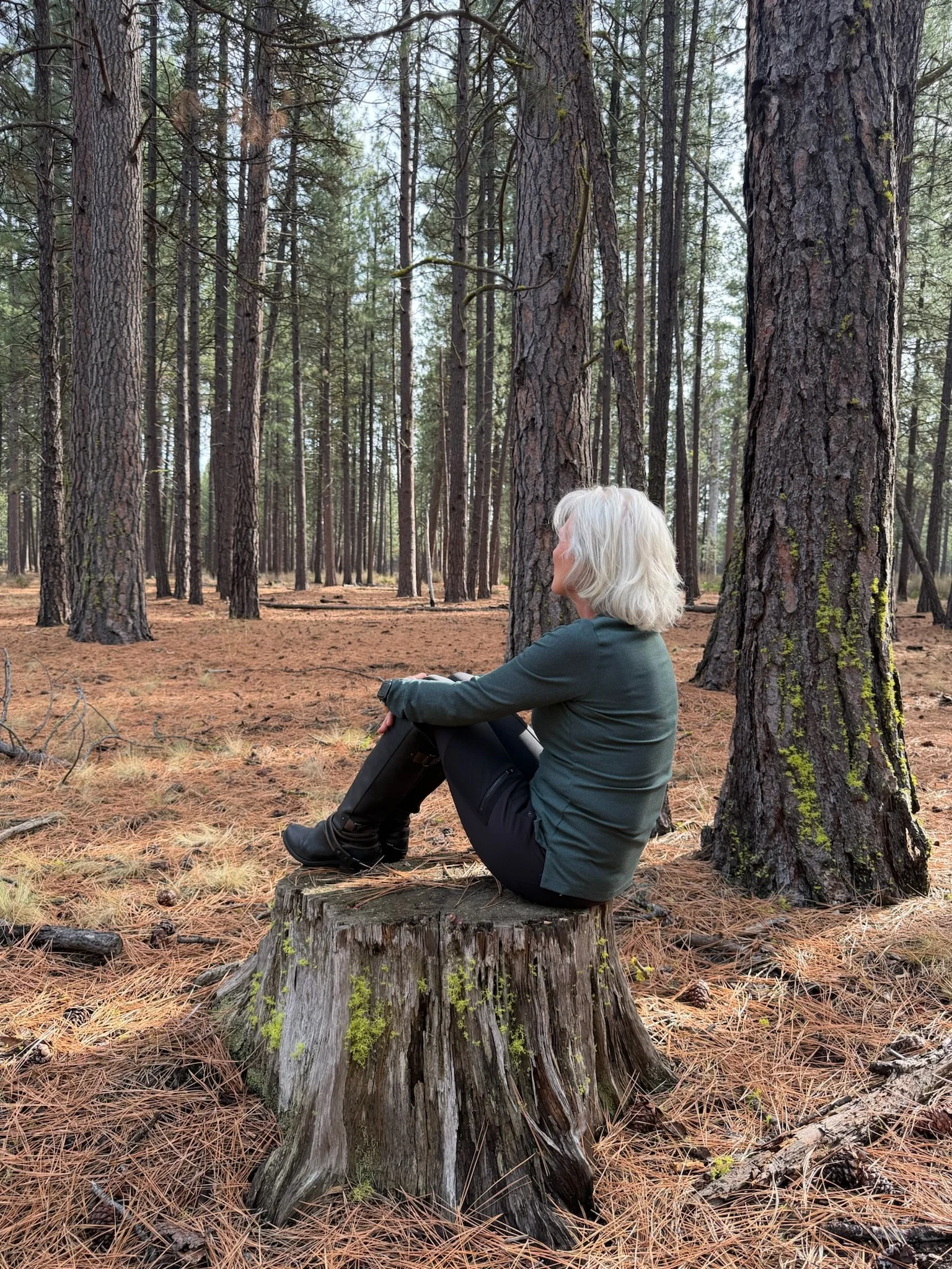 Woman sitting on a tree stump in a pine forest, surrounded by tall trees and forest floor.