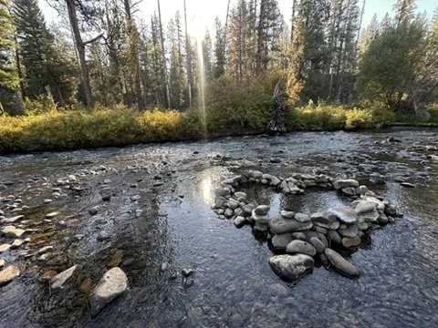 Stone heart sculpture in a shallow river surrounded by pine trees at sunset, symbolizing nature, grounding, and connection.