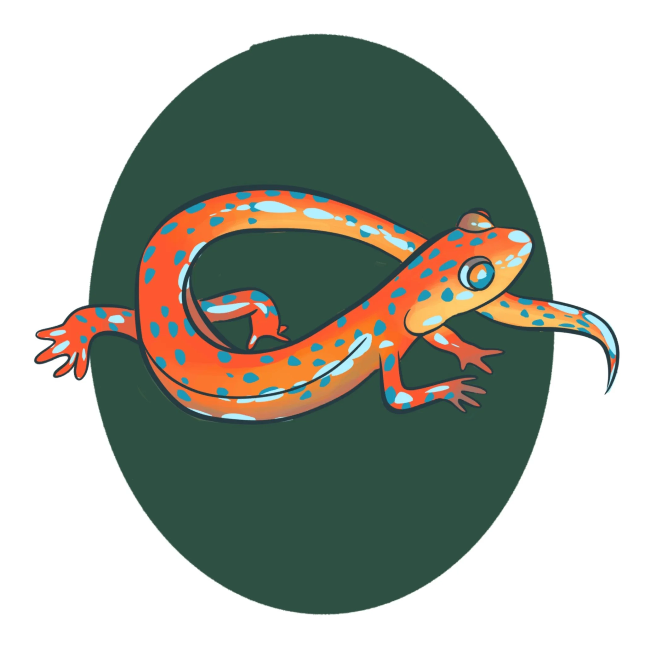 Cave Salamander