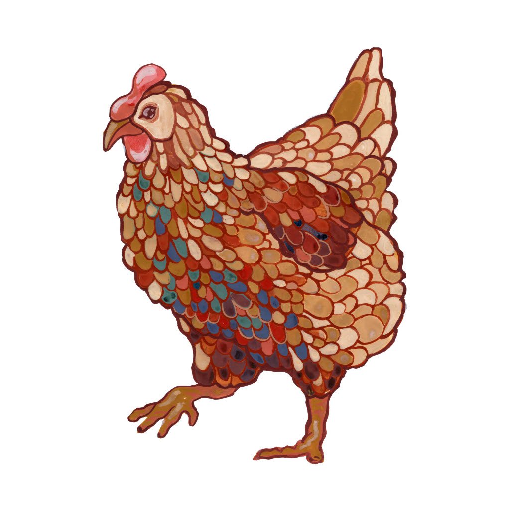 ILLUSTRATIONS