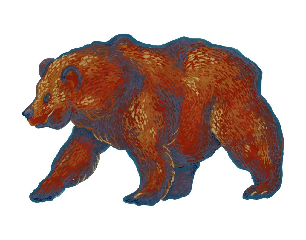 bear.jpg