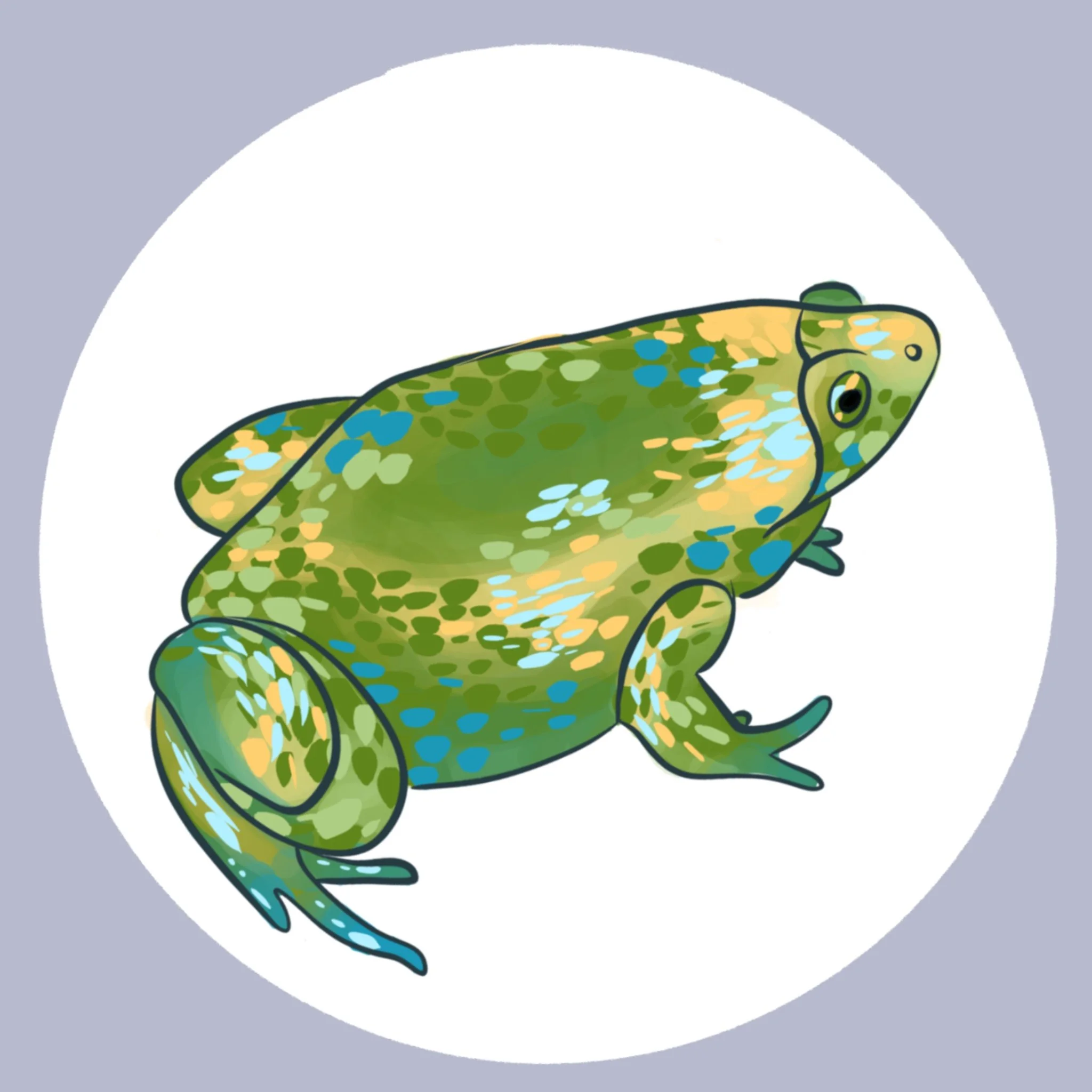 Eastern Narrow-mouth Toad