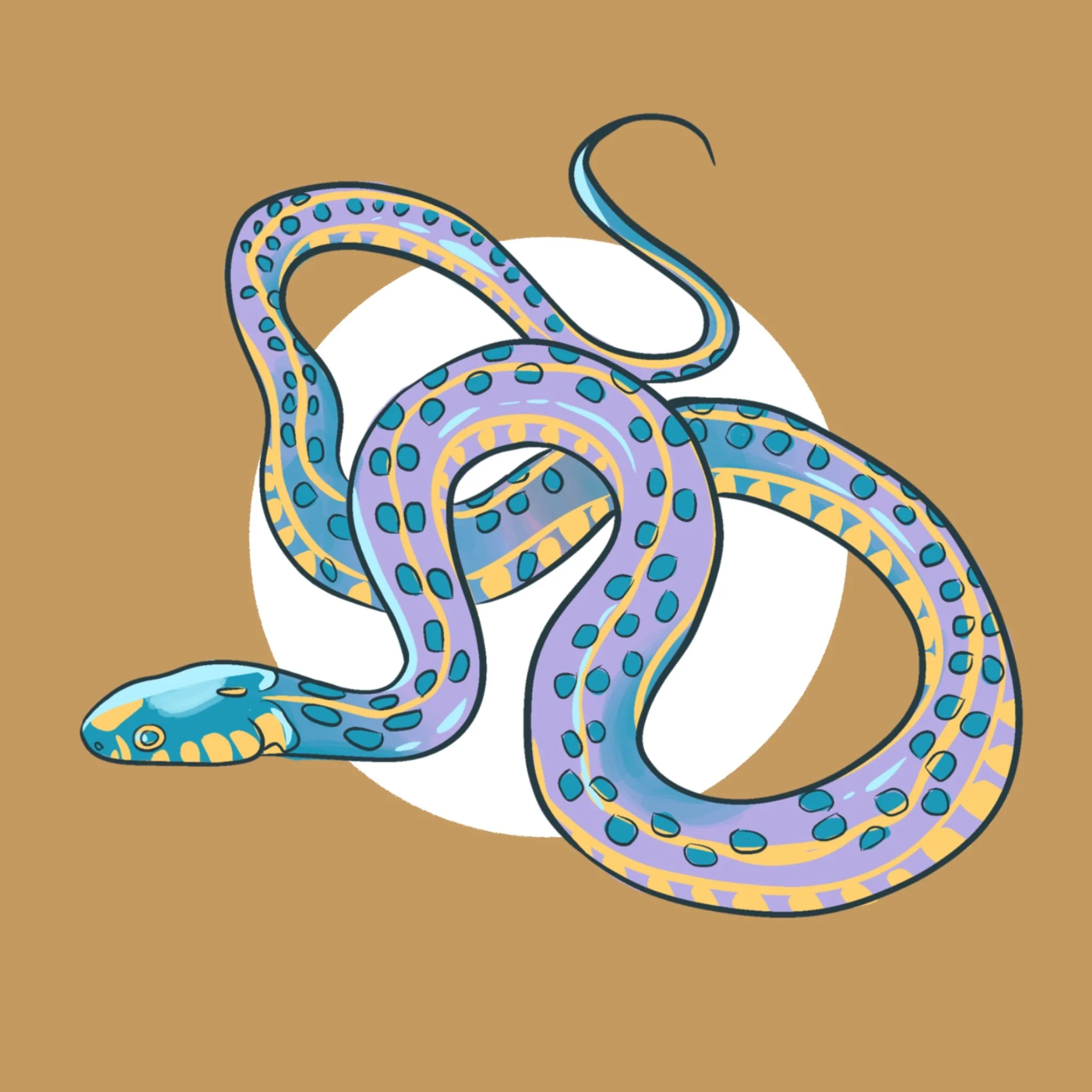 Checkered Garter Snake