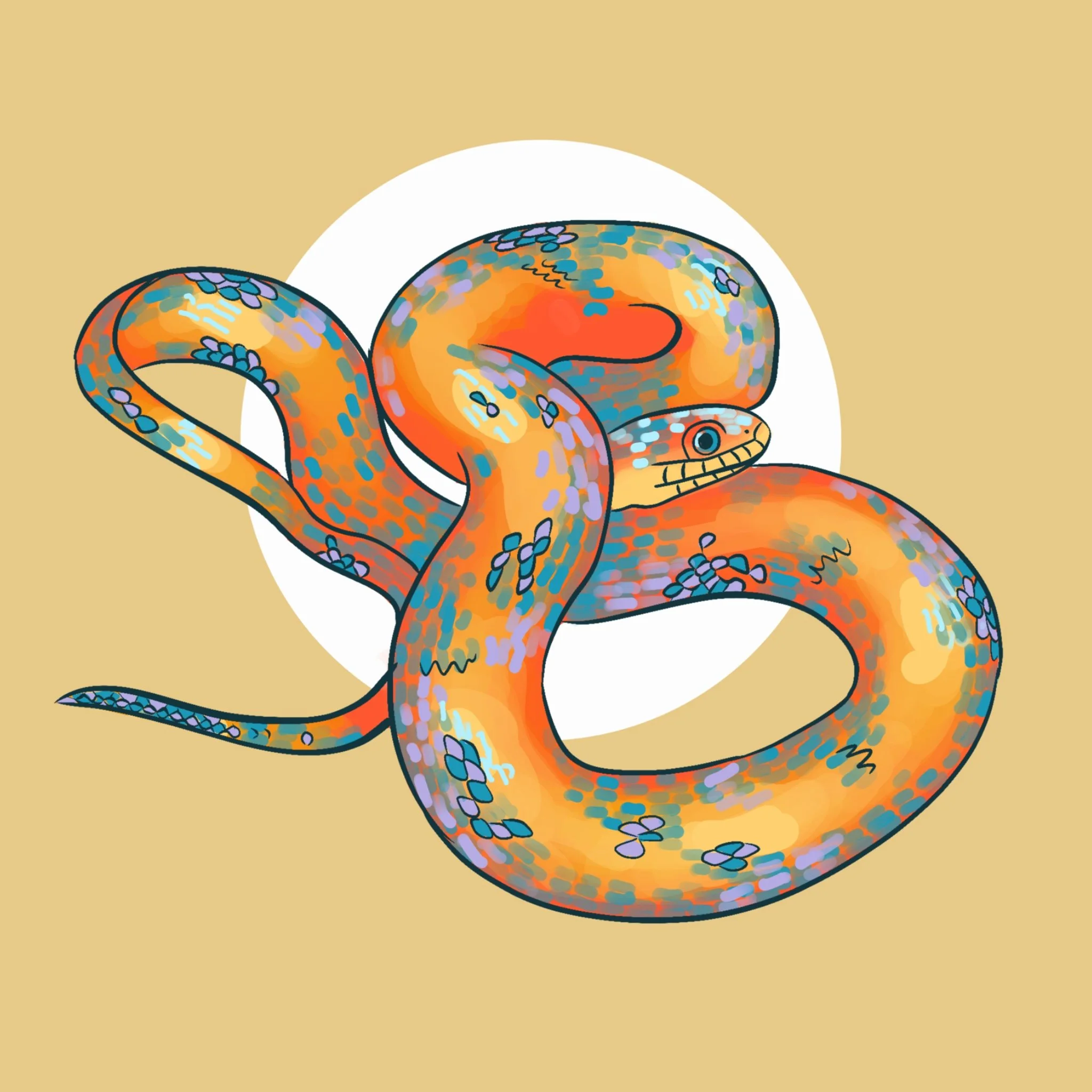 Mississippi Green Water Snake