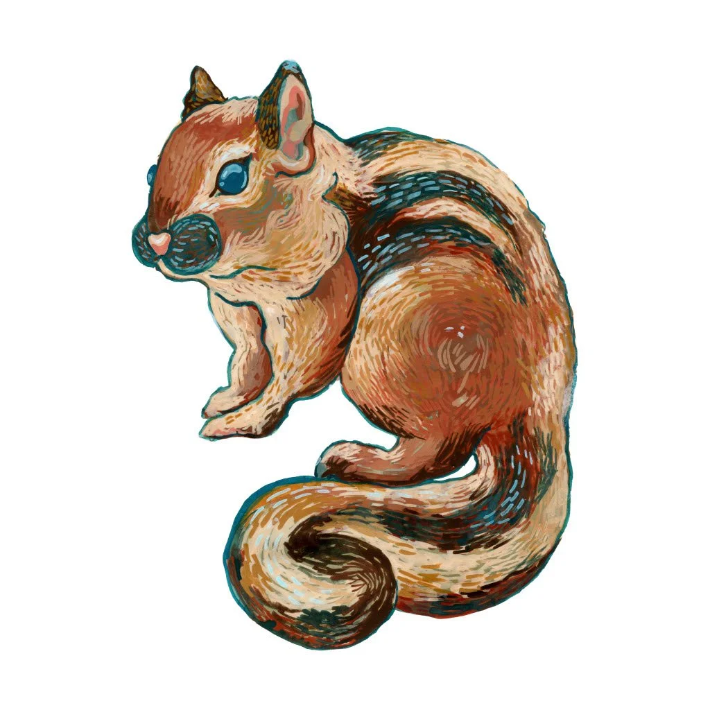 chipmunk.jpg