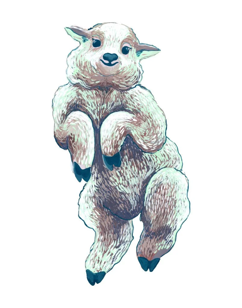lamb.jpg