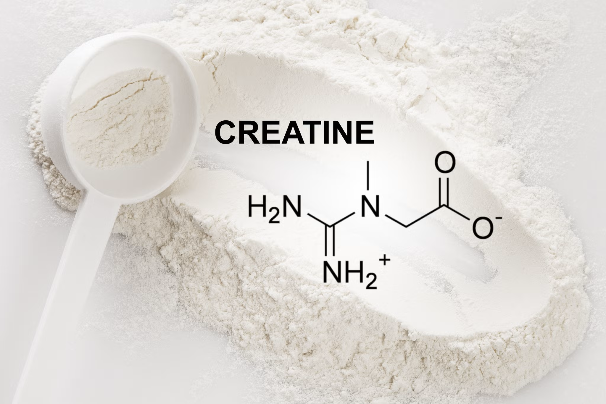 Creatine and Longevity: The End of History