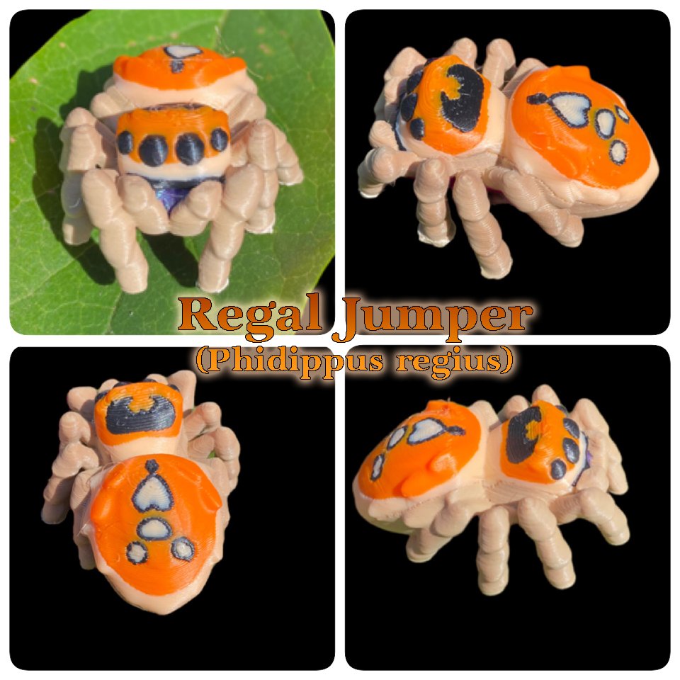 Regal.jpg