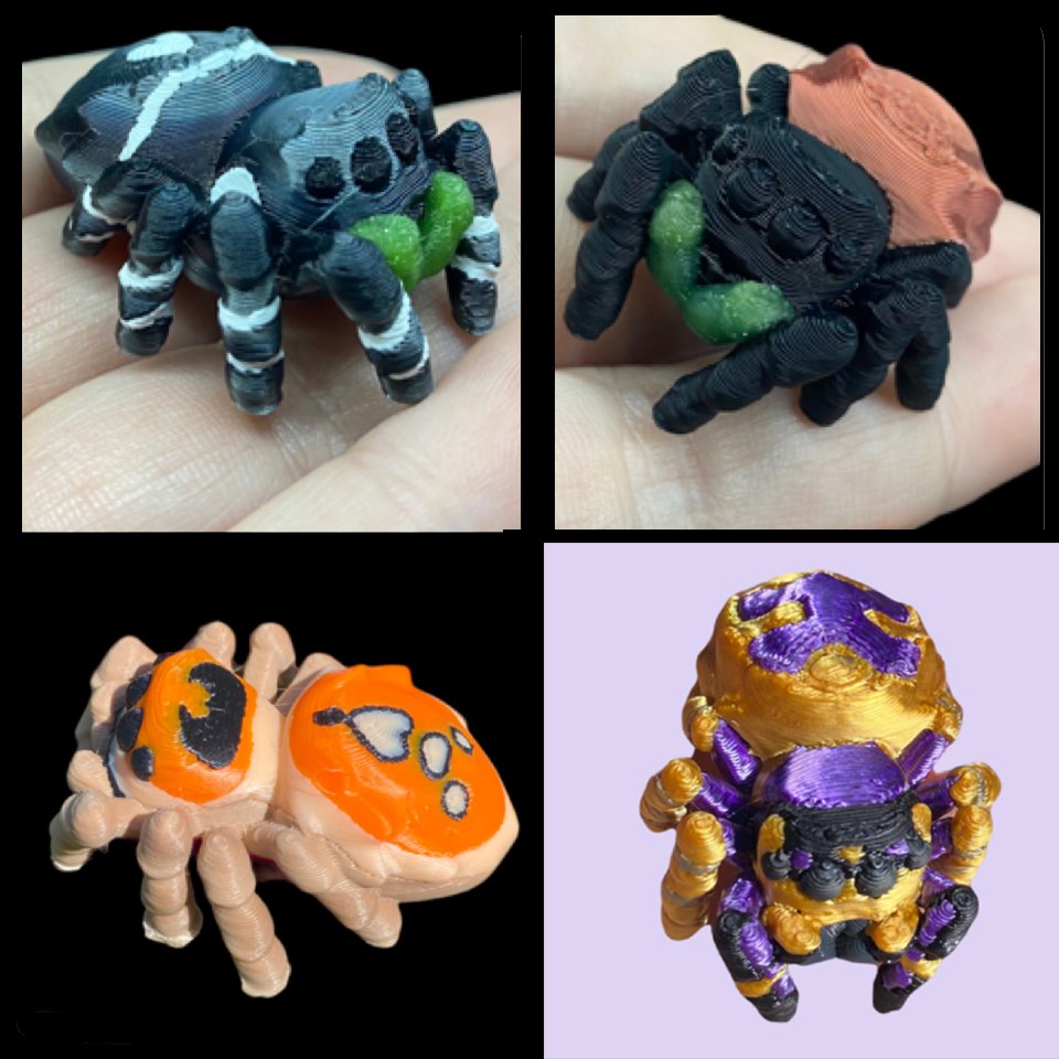 Jumping Spider