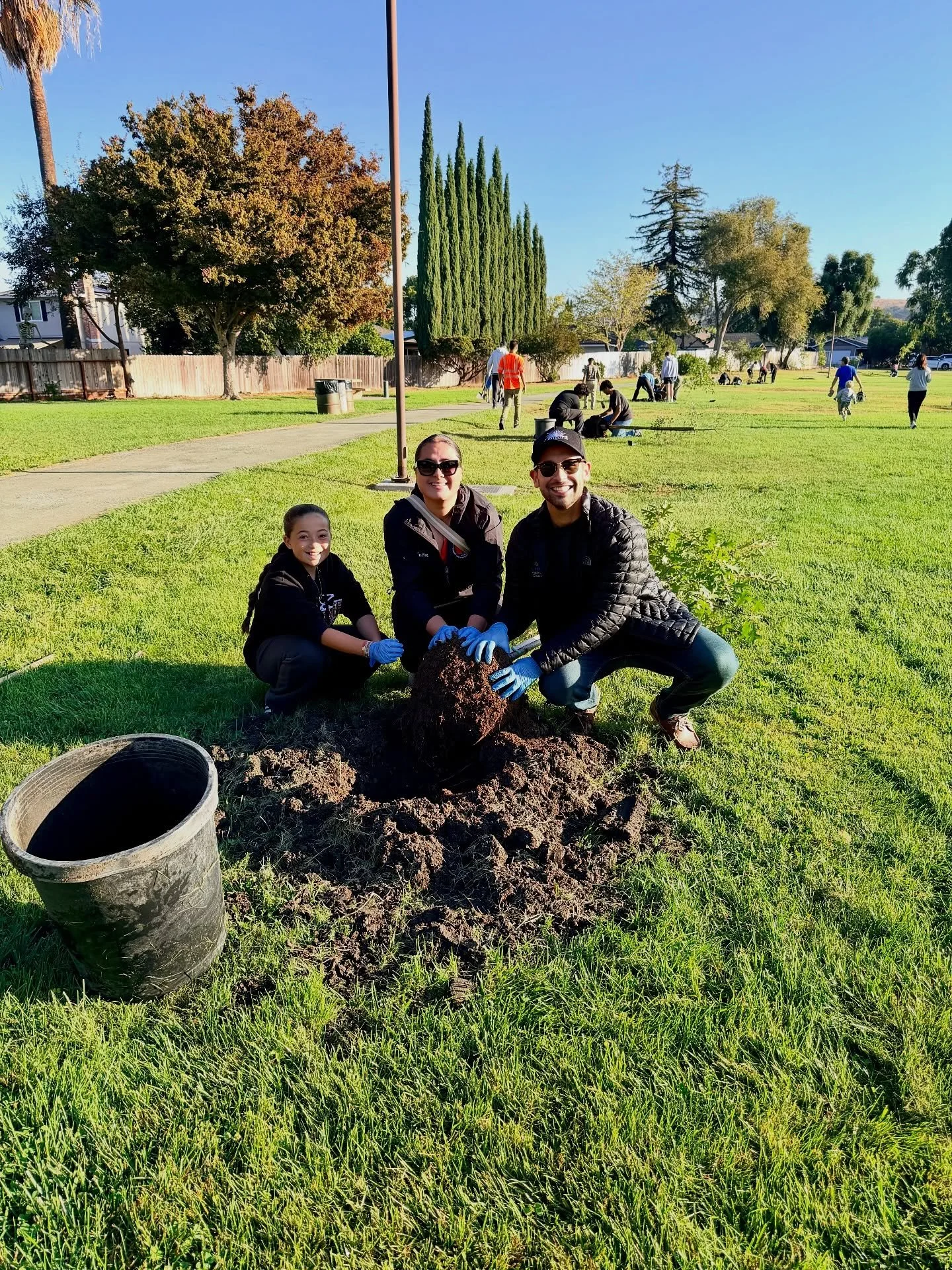 Tree Planting at Ygnacio Valley Park for September of Service