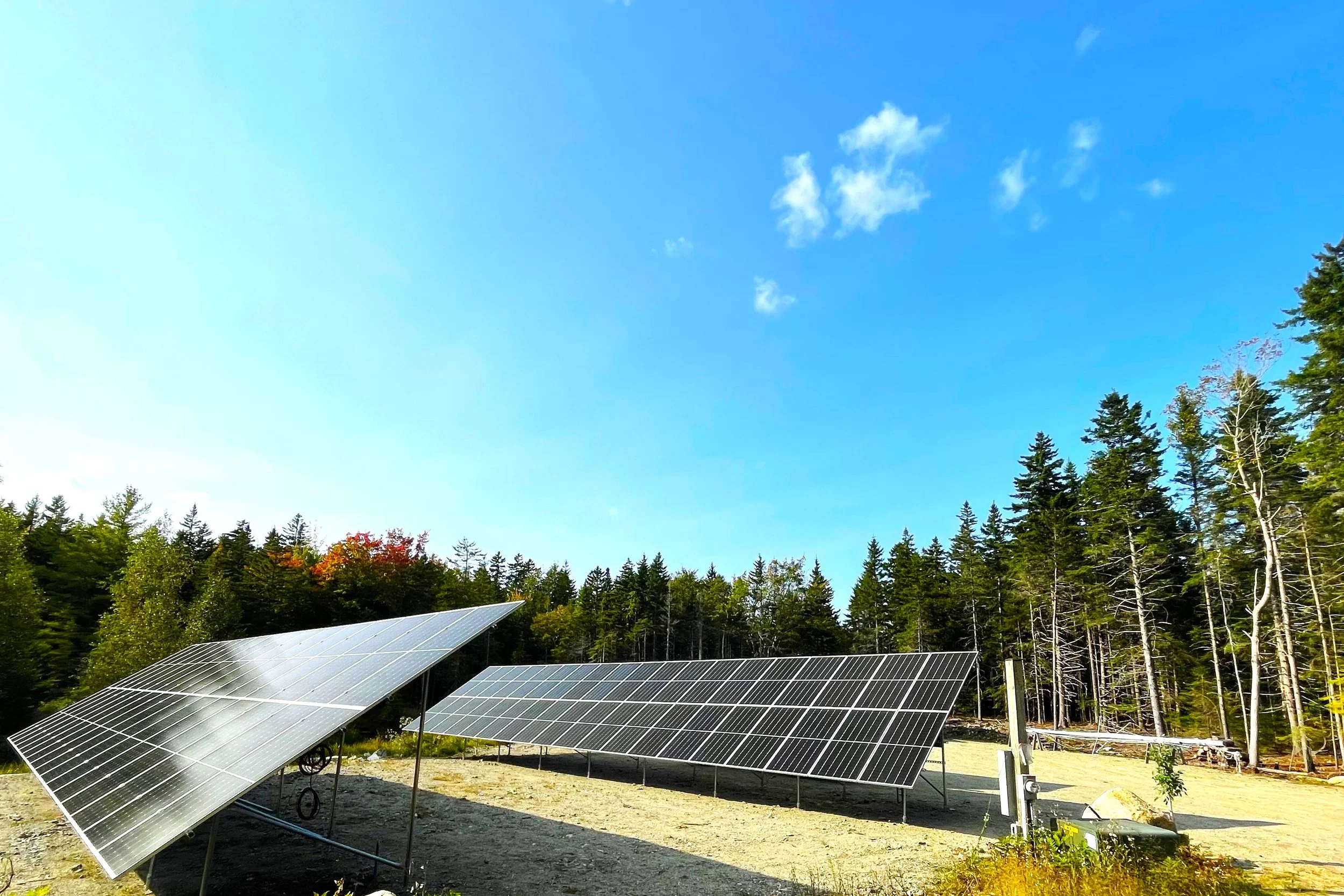 Solar panels installed on ground surrounded by trees and a clear blue sky.