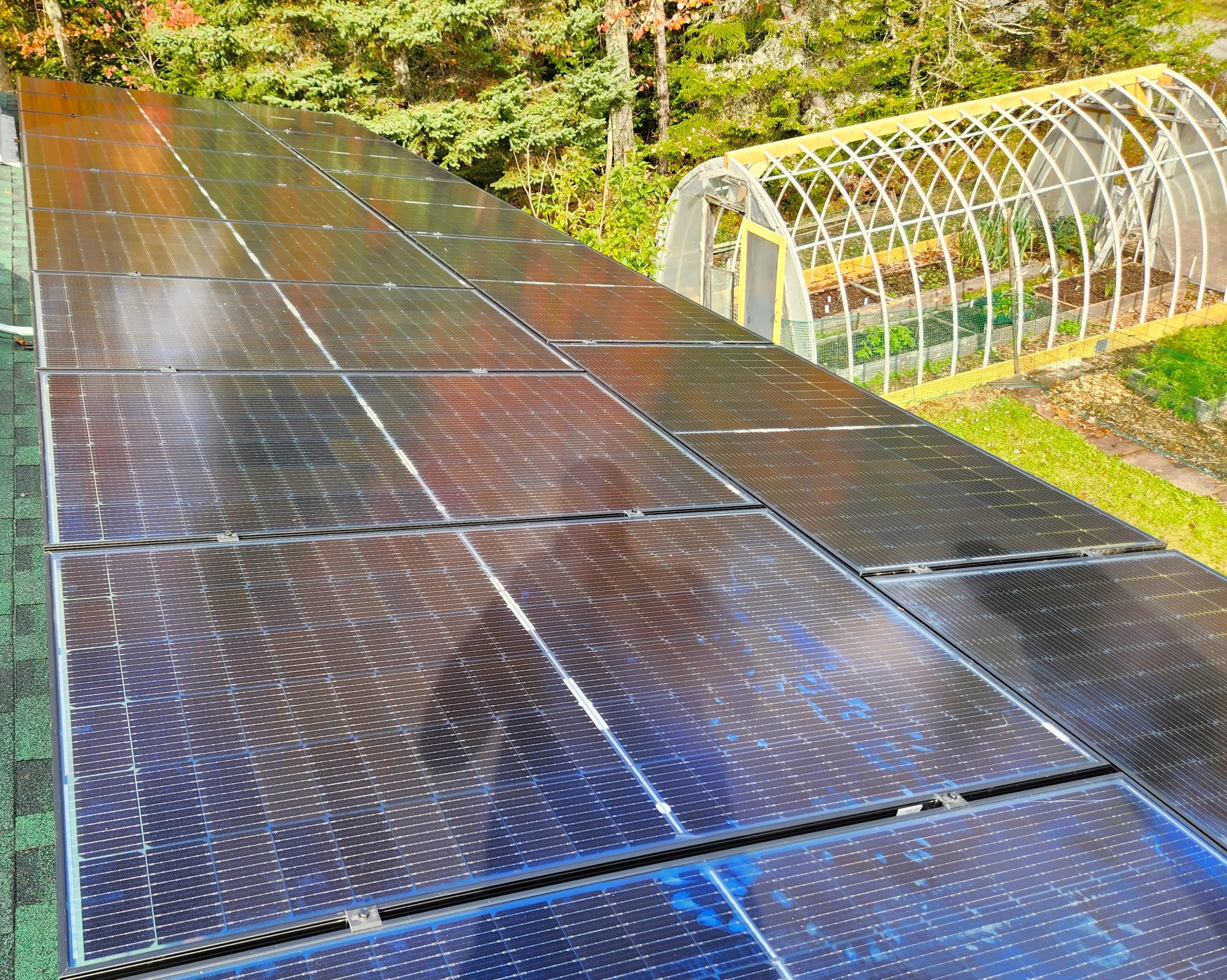 Photo of solar panels installed on a green roof with a forest in the background.