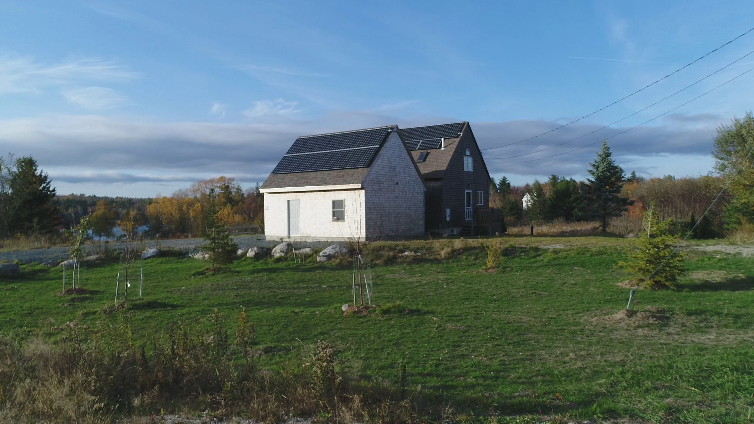 A house with solar panels on its roof situated in a rural area with trees, a grassy yard, and planted trees in the foreground under a partly cloudy sky.