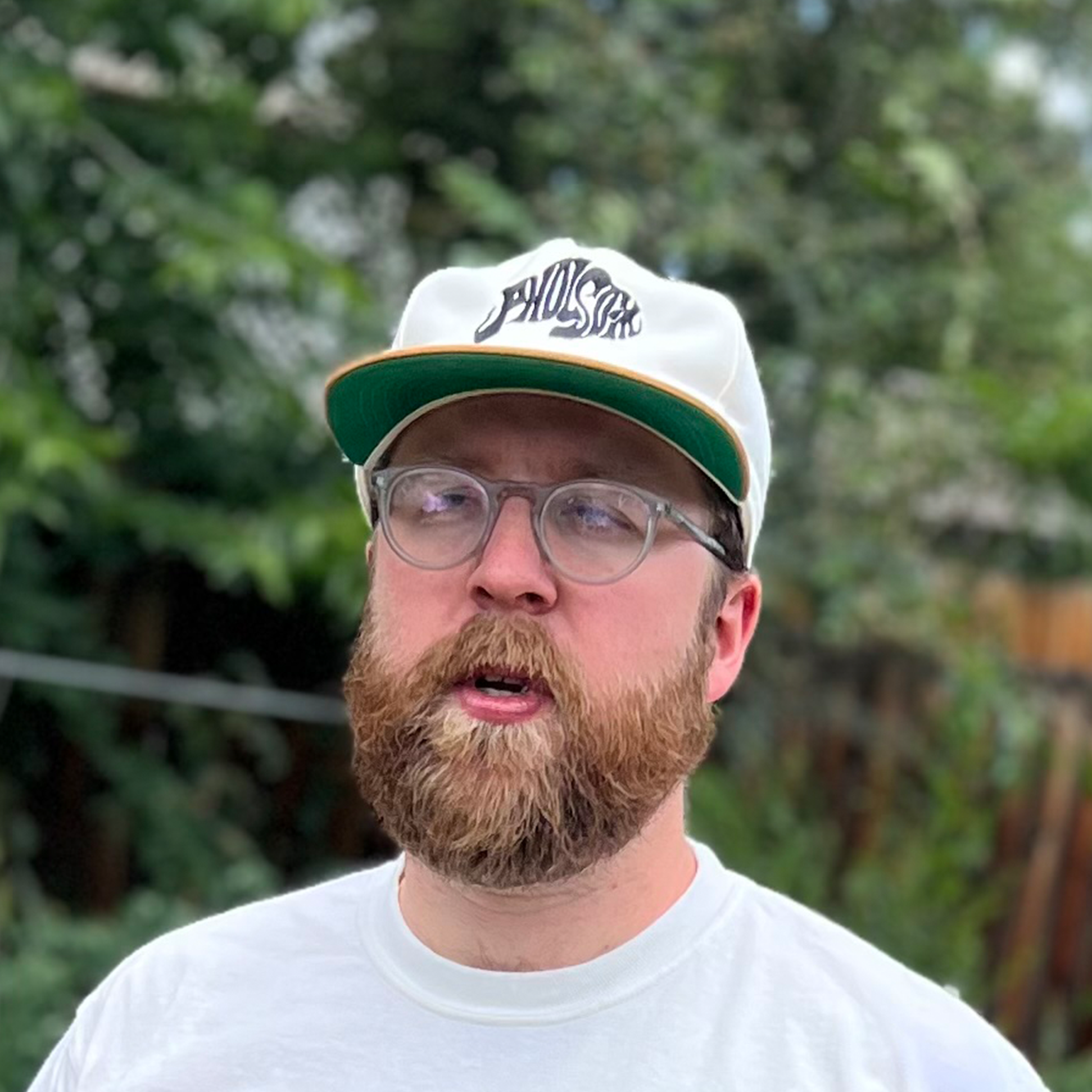 pholsomhatmodel.png
