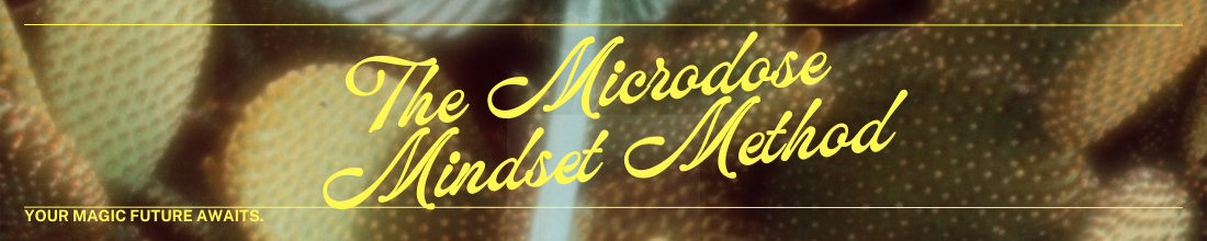Close-up of textured, colorful beads with text overlay that reads "The Microdose Mindset Method" and a tagline "Your magic future awaits."