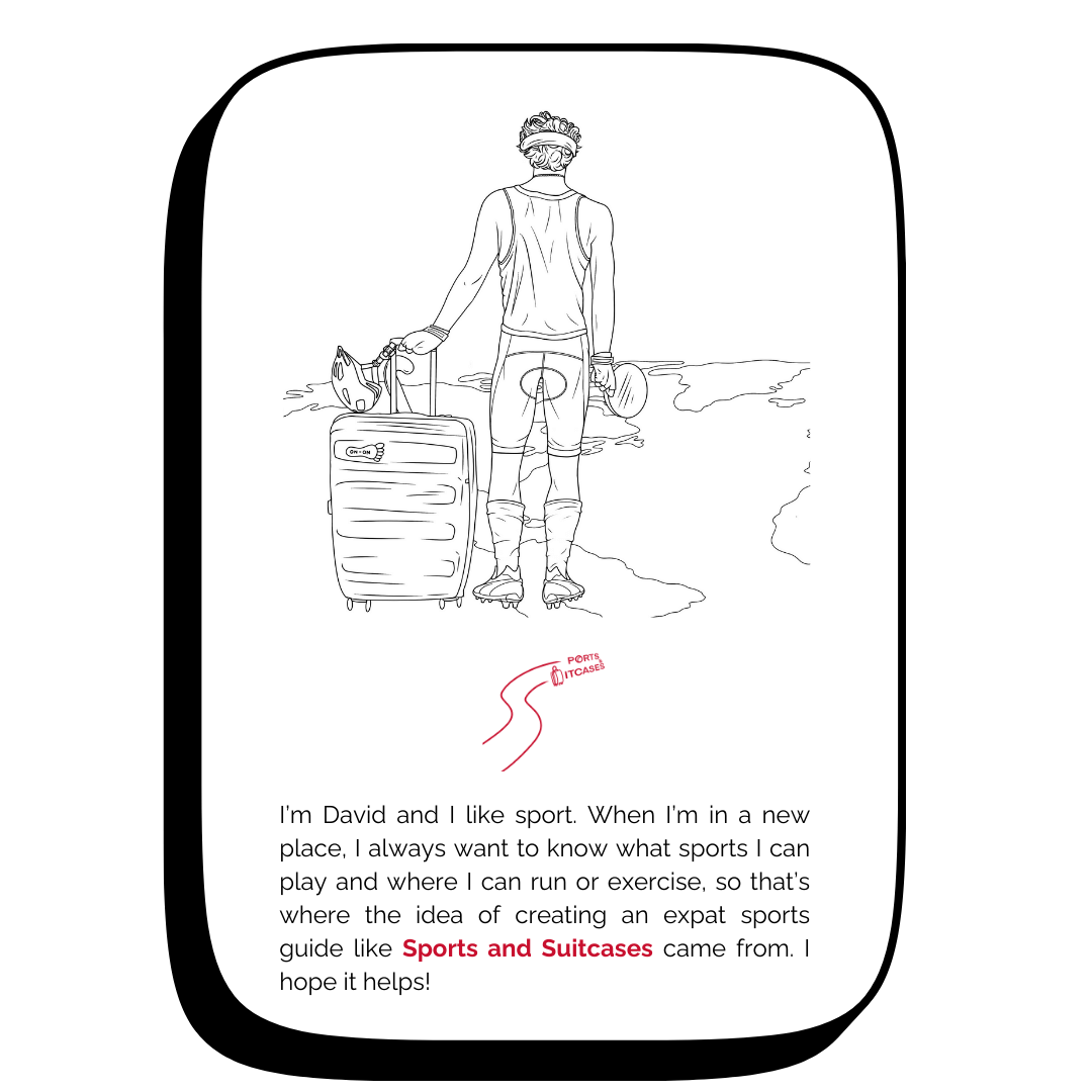 Sports and Suitcases website artwork and introduction