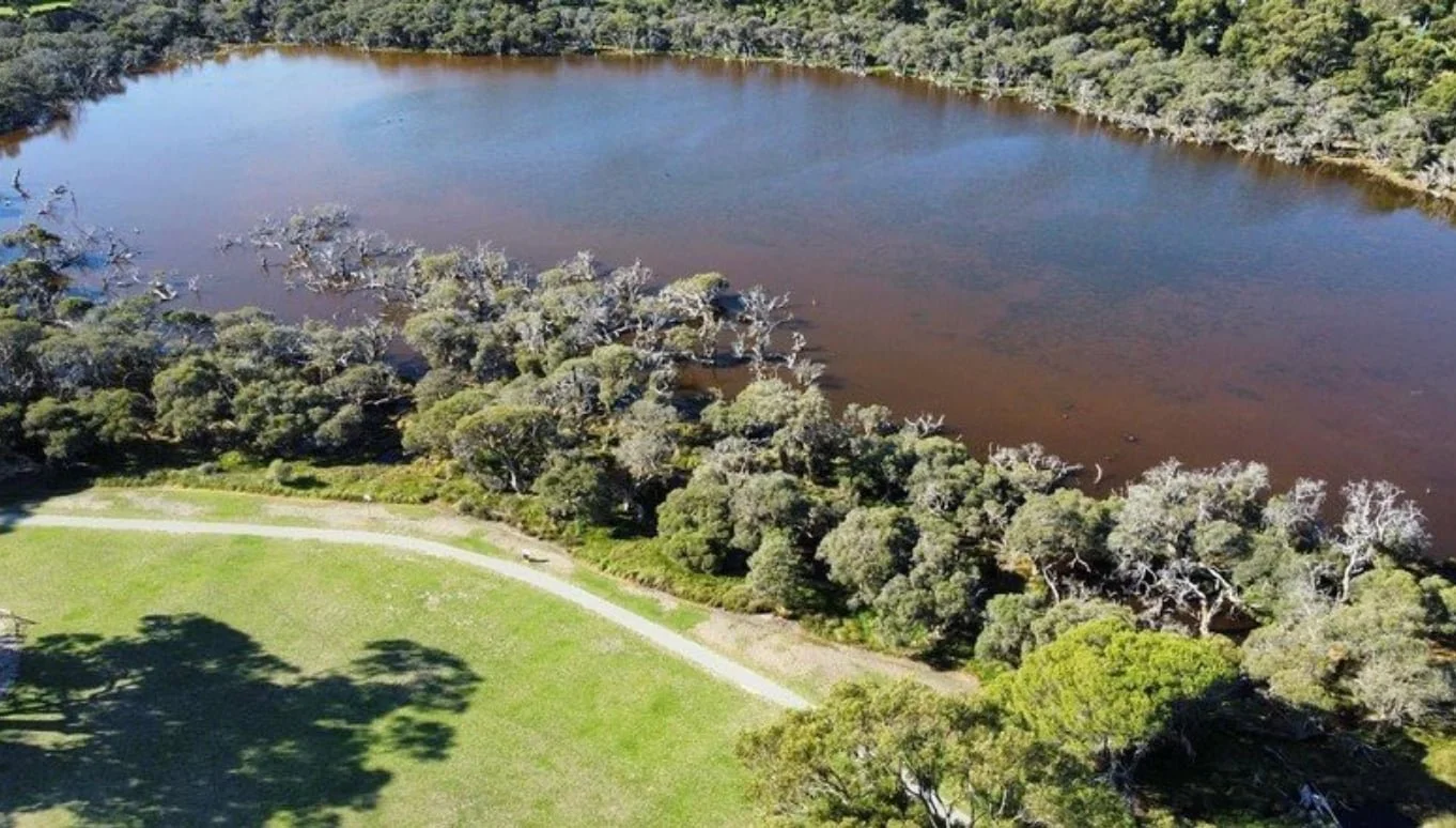 Scenic aerial perspective of Manning Lake, encircled by trees, perfect for running loops and nature exploration.