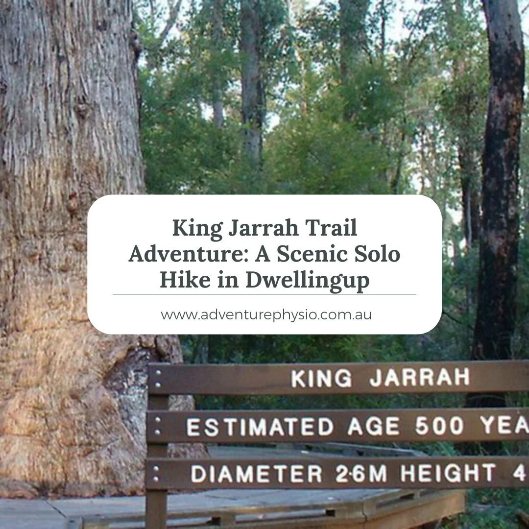 King Jarrah Trail Adventure: A Scenic Solo Hike in Dwellingup