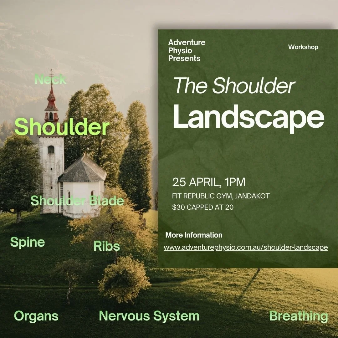 The Shoulde Landscape Post