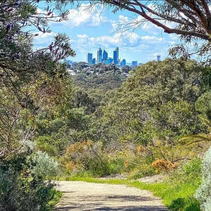 The stunning city views seen from the Zamia Trail in Bold Park, Perth