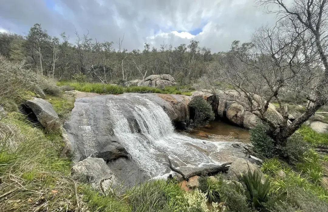 Kitties Gorge Trail is a Perth classic, following a flowing stream with multiple cascades and waterfalls on the journey