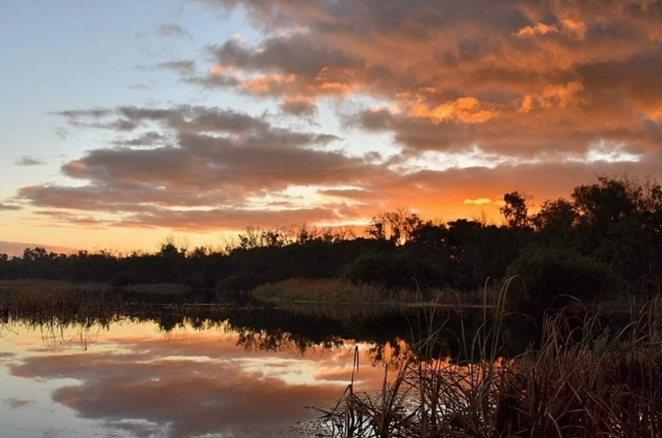 A serene sunset over the Spectacles Lake, framed by tall grass and reeds, perfect for an adventure along the Spectacles Aboriginal Heritage Trail.