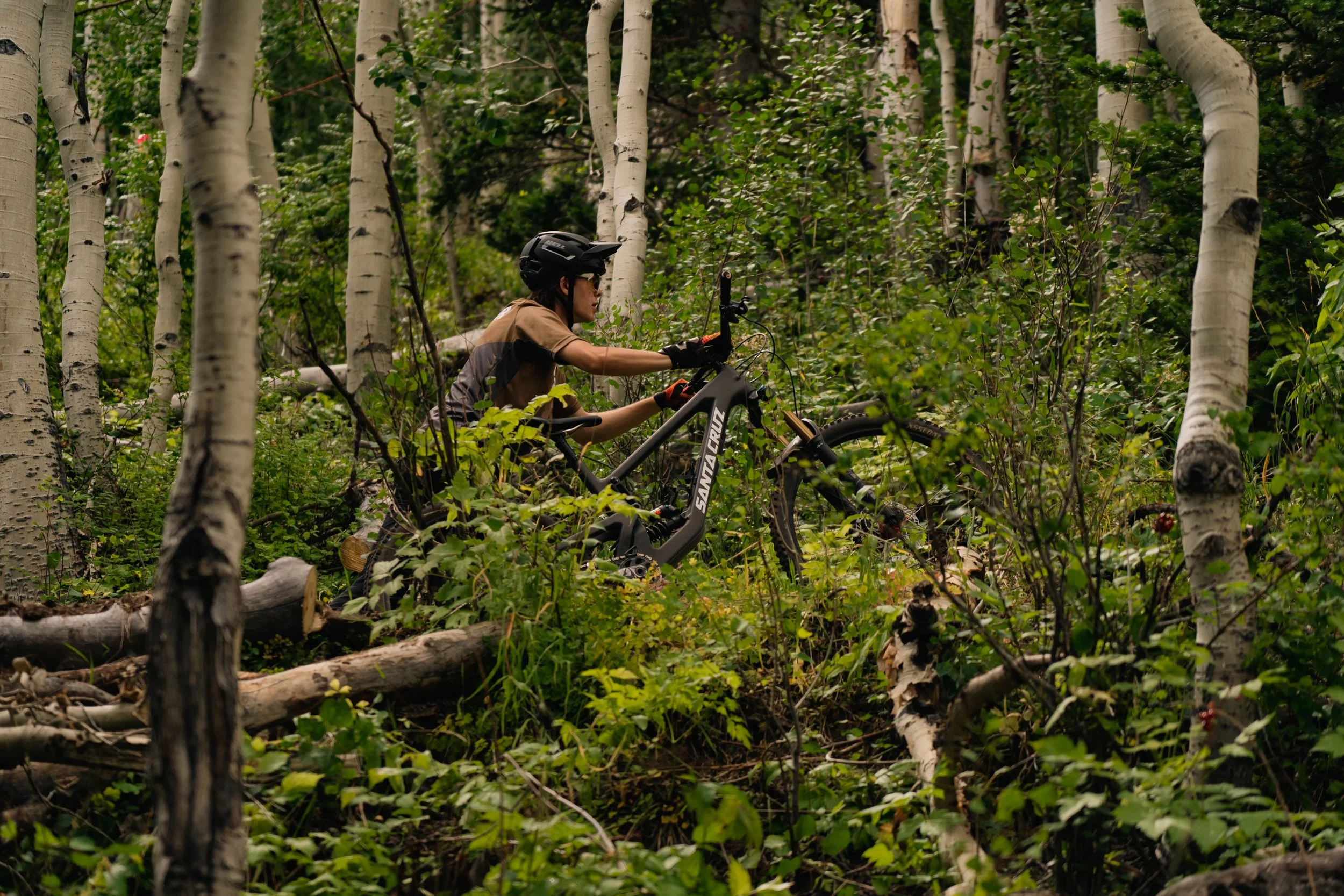 Mountain Biking In the Forest | Photography by Anders Henrikson Photo 