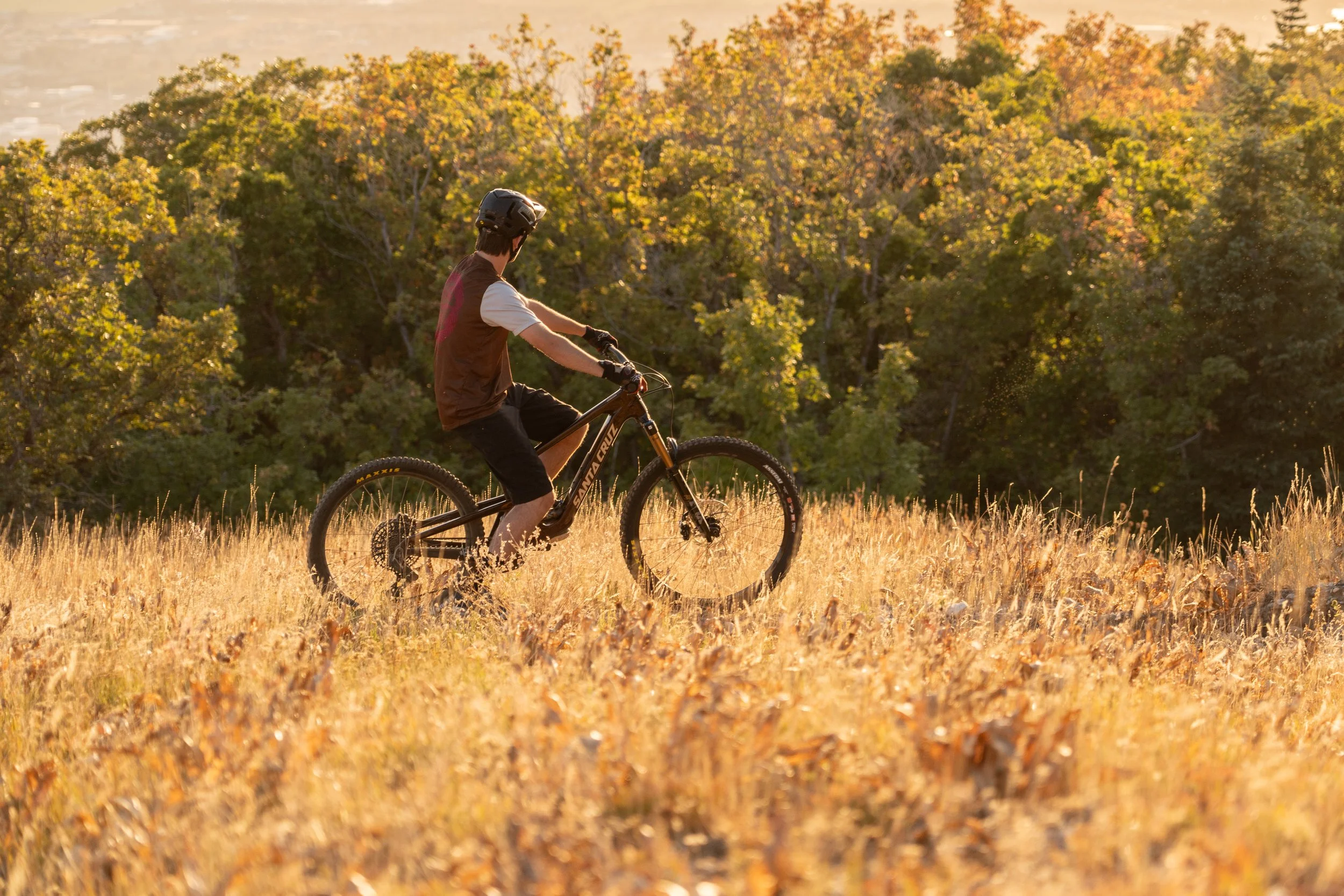 Person riding a mountain bike through a grassy field with autumn trees in the background | Photography by Anders Henrikson Photo 