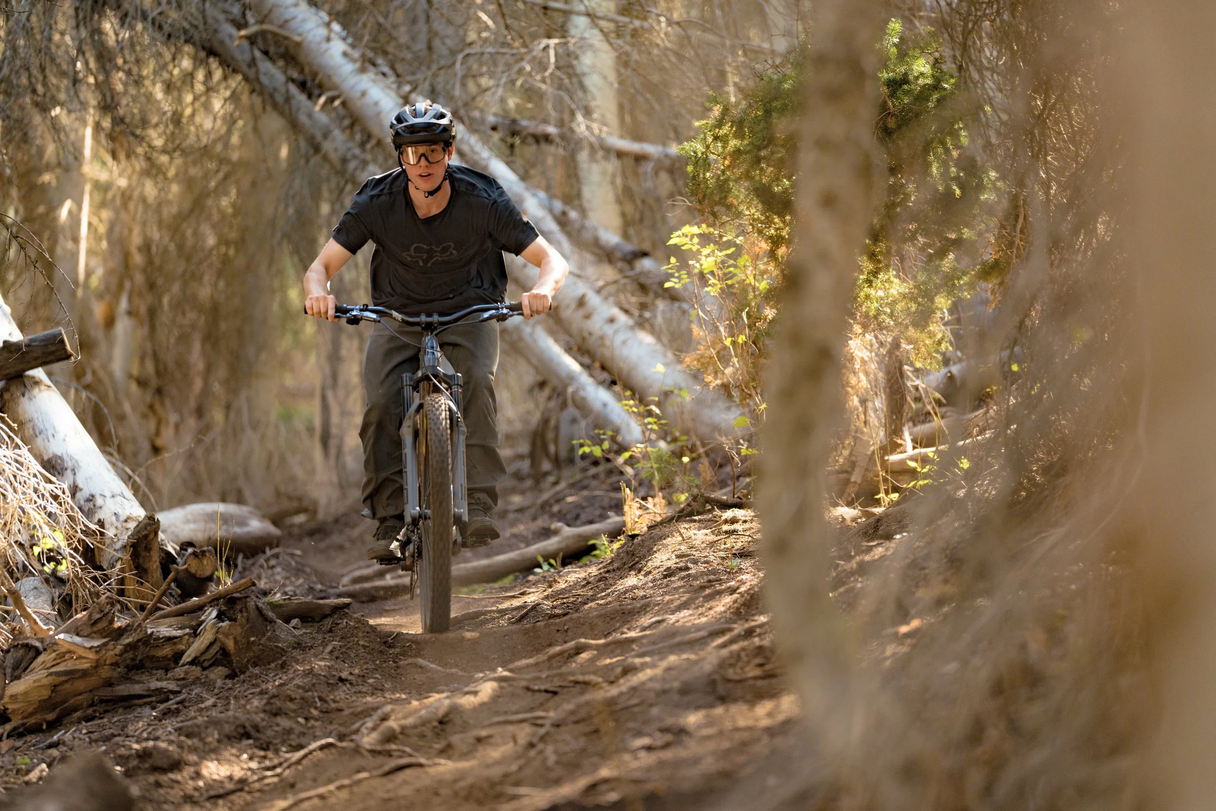 Mountain biker riding through a forest trail with fallen logs and dense trees. | Photography by Anders Henrikson Photo 