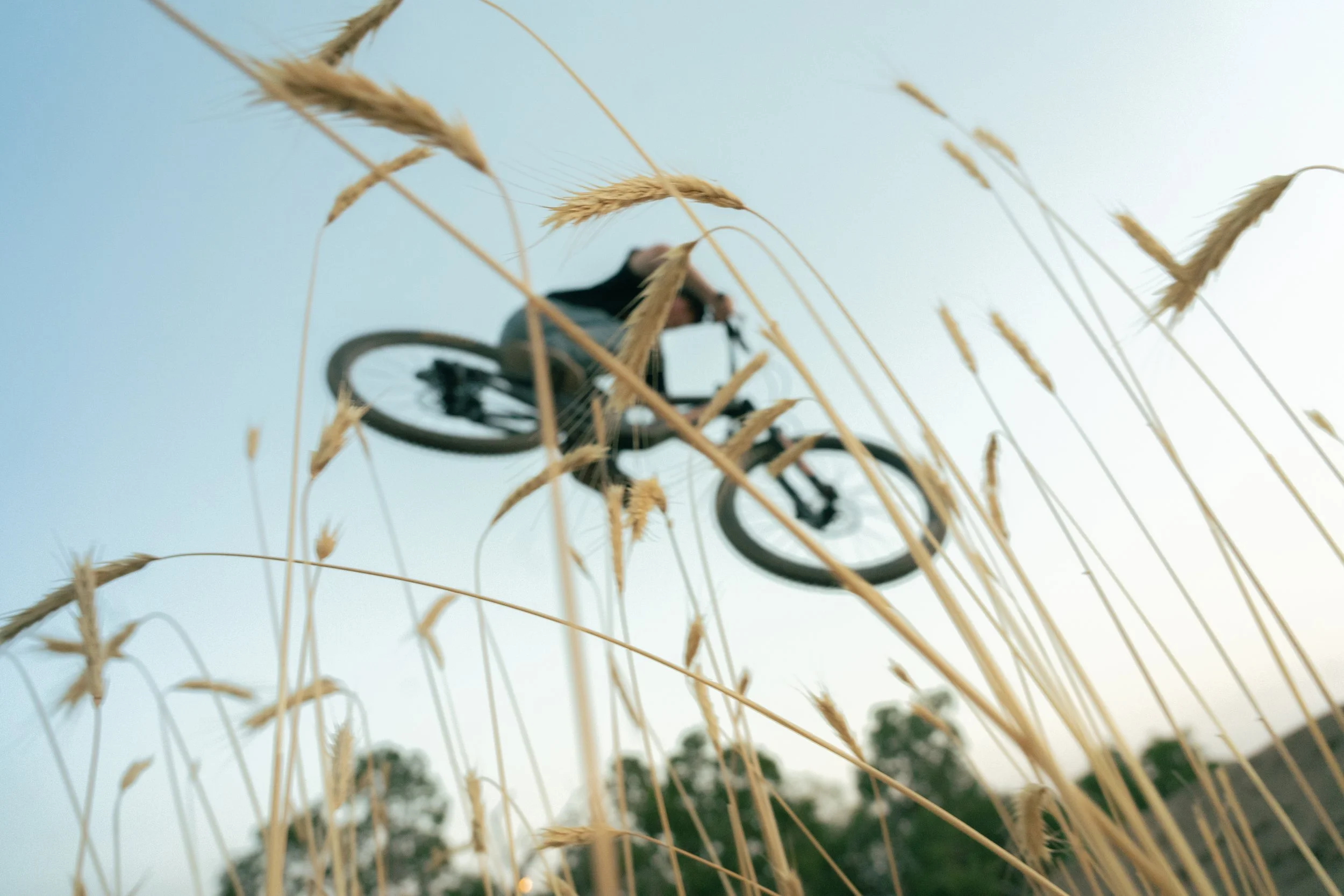 Mountain Bike Behind Grass | Photography by Anders Henrikson Photo 