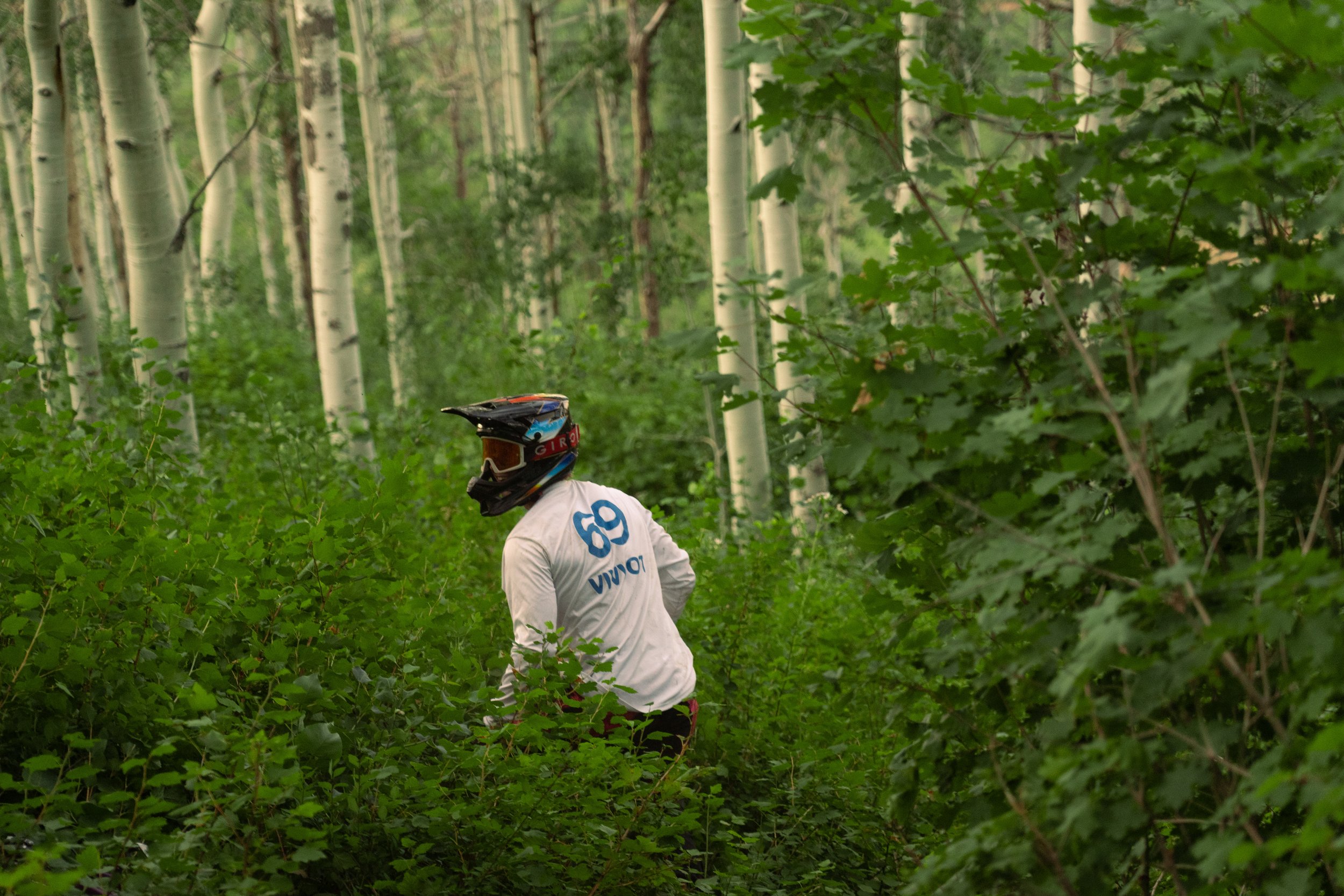 Mountain Bike In A Grove Of Aspens | Photography by Anders Henrikson Photo 