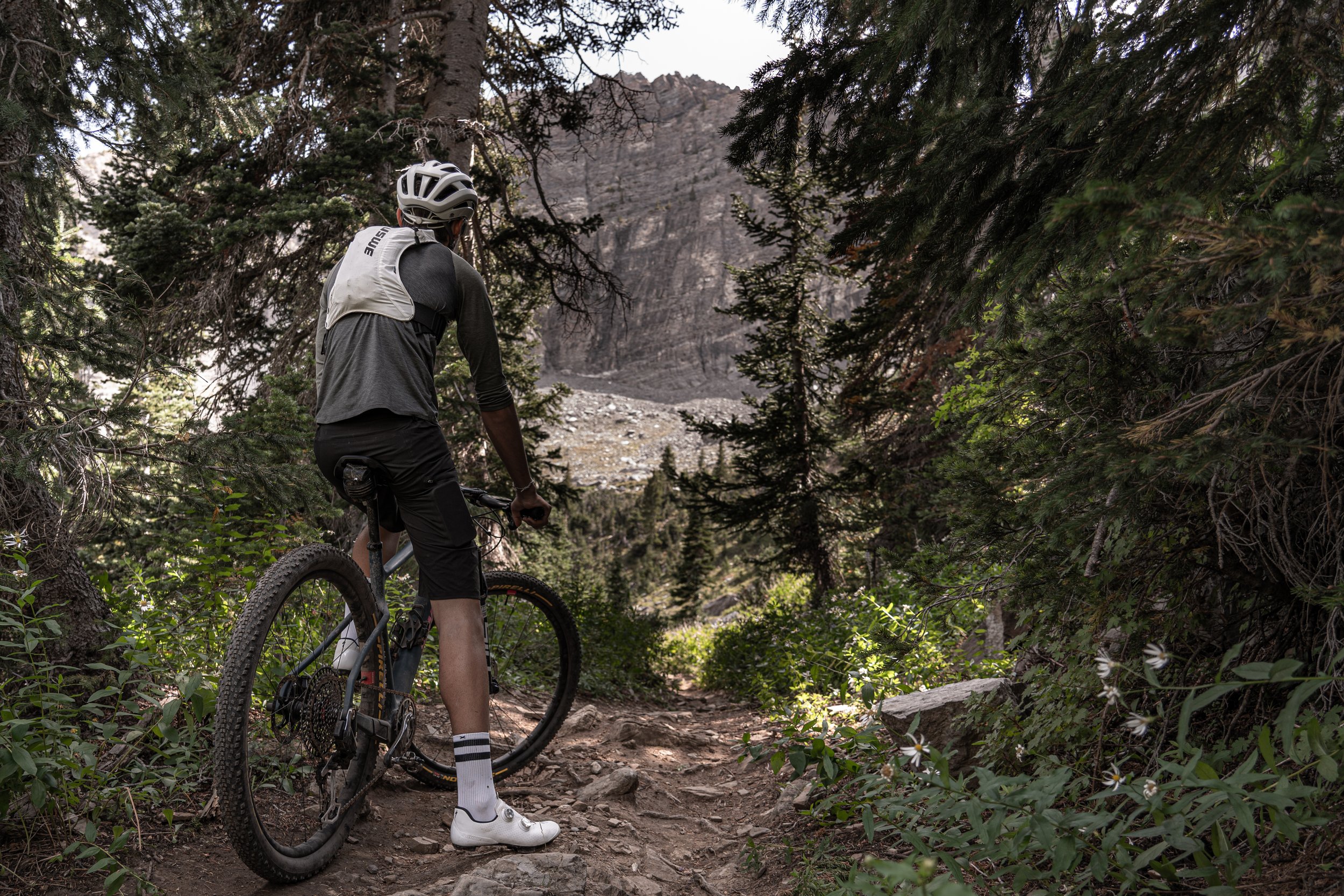 Mountain biker on a trail surrounded by trees | Photography by Anders Henrikson Photo 