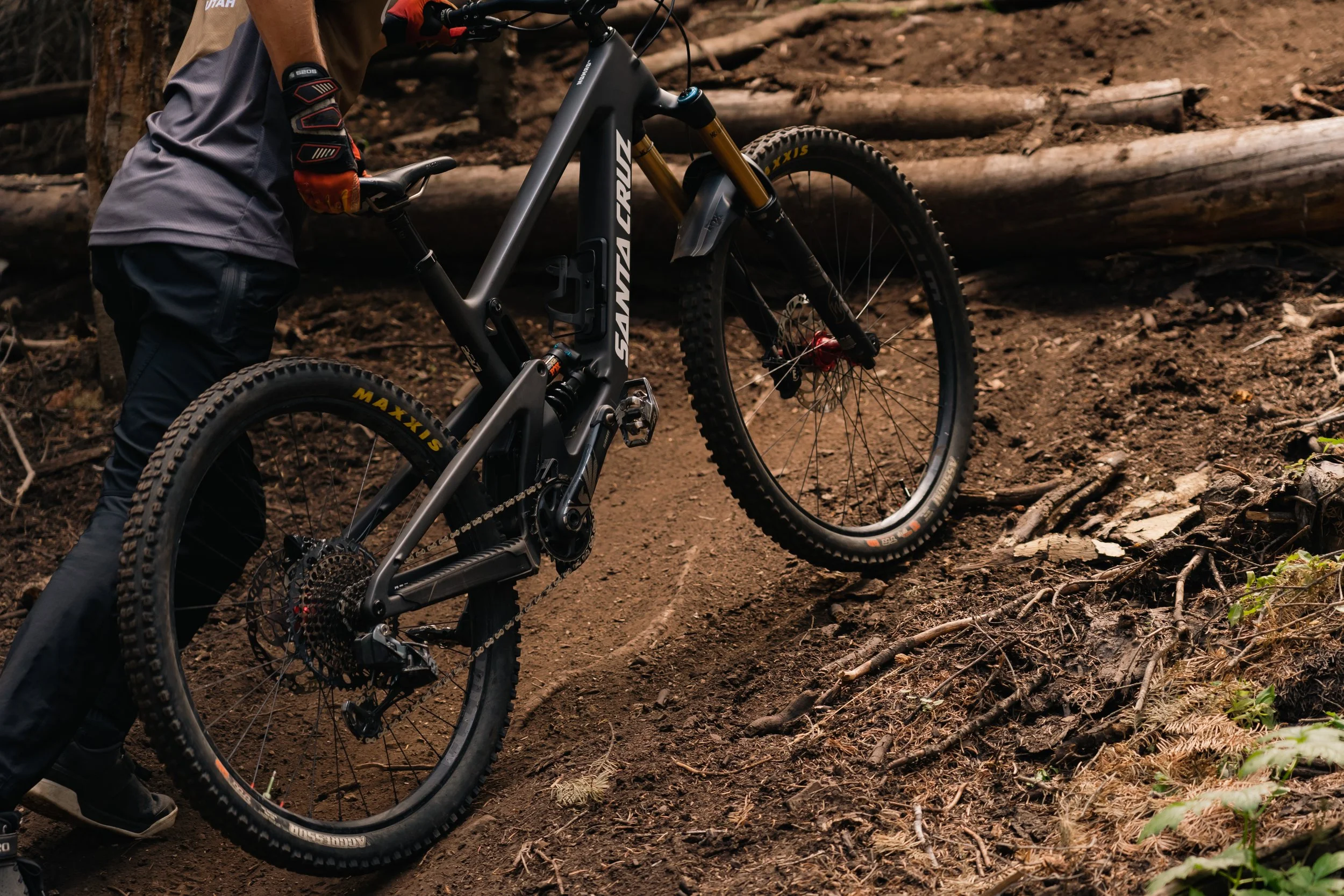 Santa Cruz Bronson | Photography by Anders Henrikson Photo 