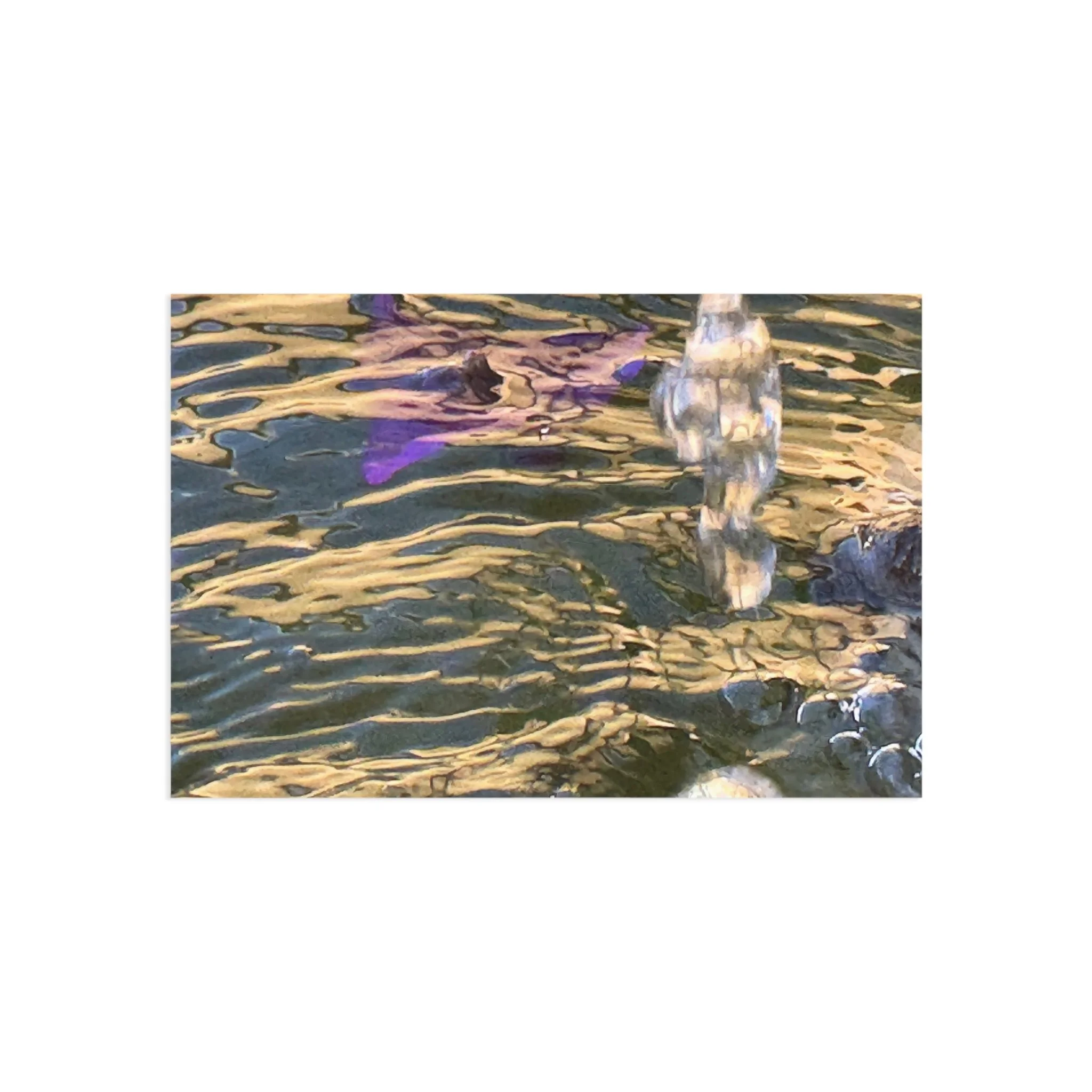 c622766013a28f1b50f3907c45318118