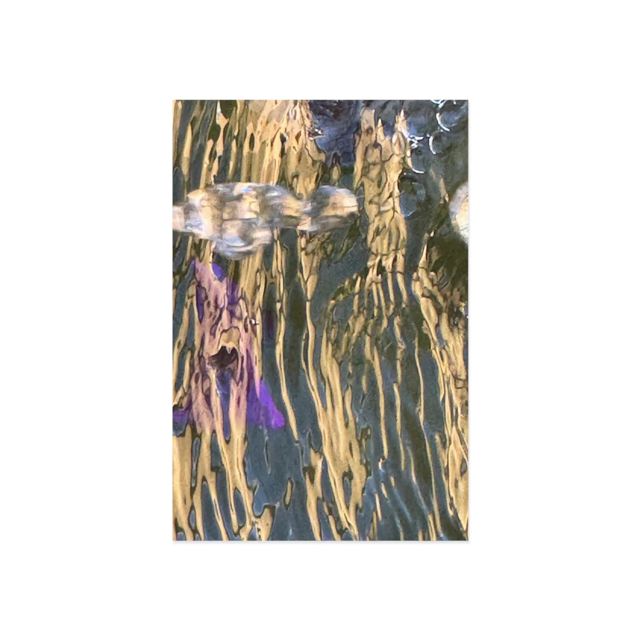 464c160be4bf0b84729fdd019a5e99d1