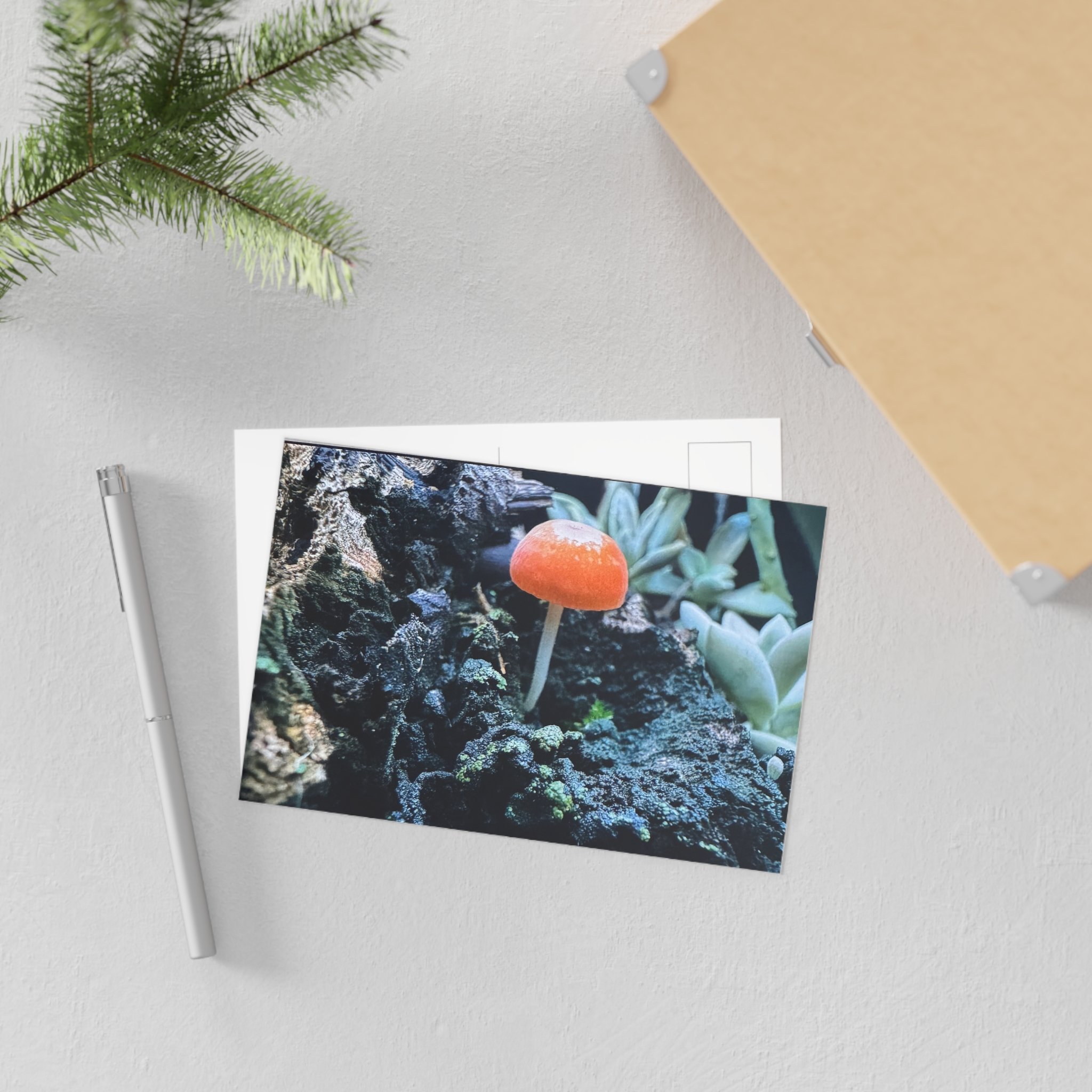 818ad3f9dc736855c65ee8cb9ab96712