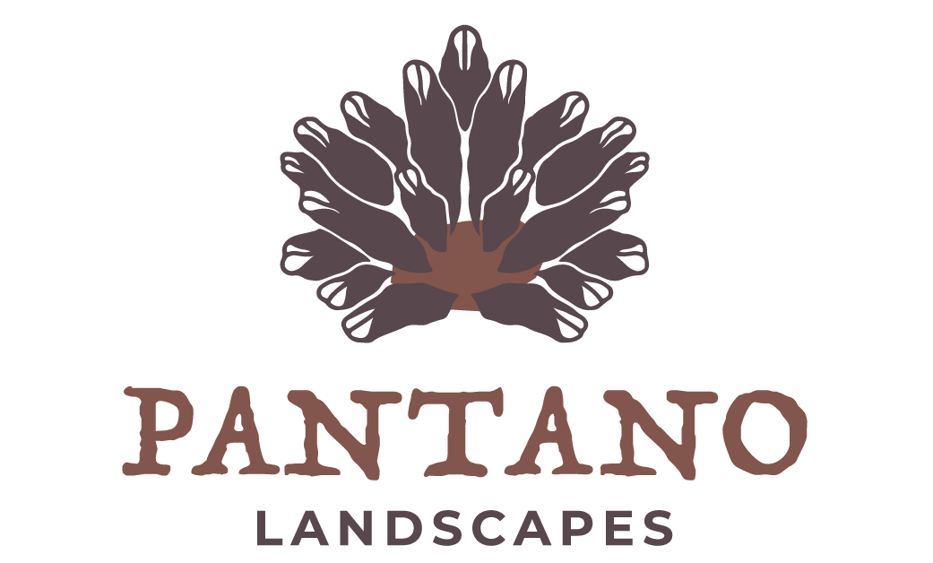 Pantano Landscapes